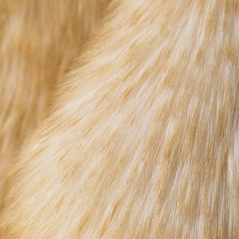 Springlowe Luxe Bunny by Jellycat, Detail View.