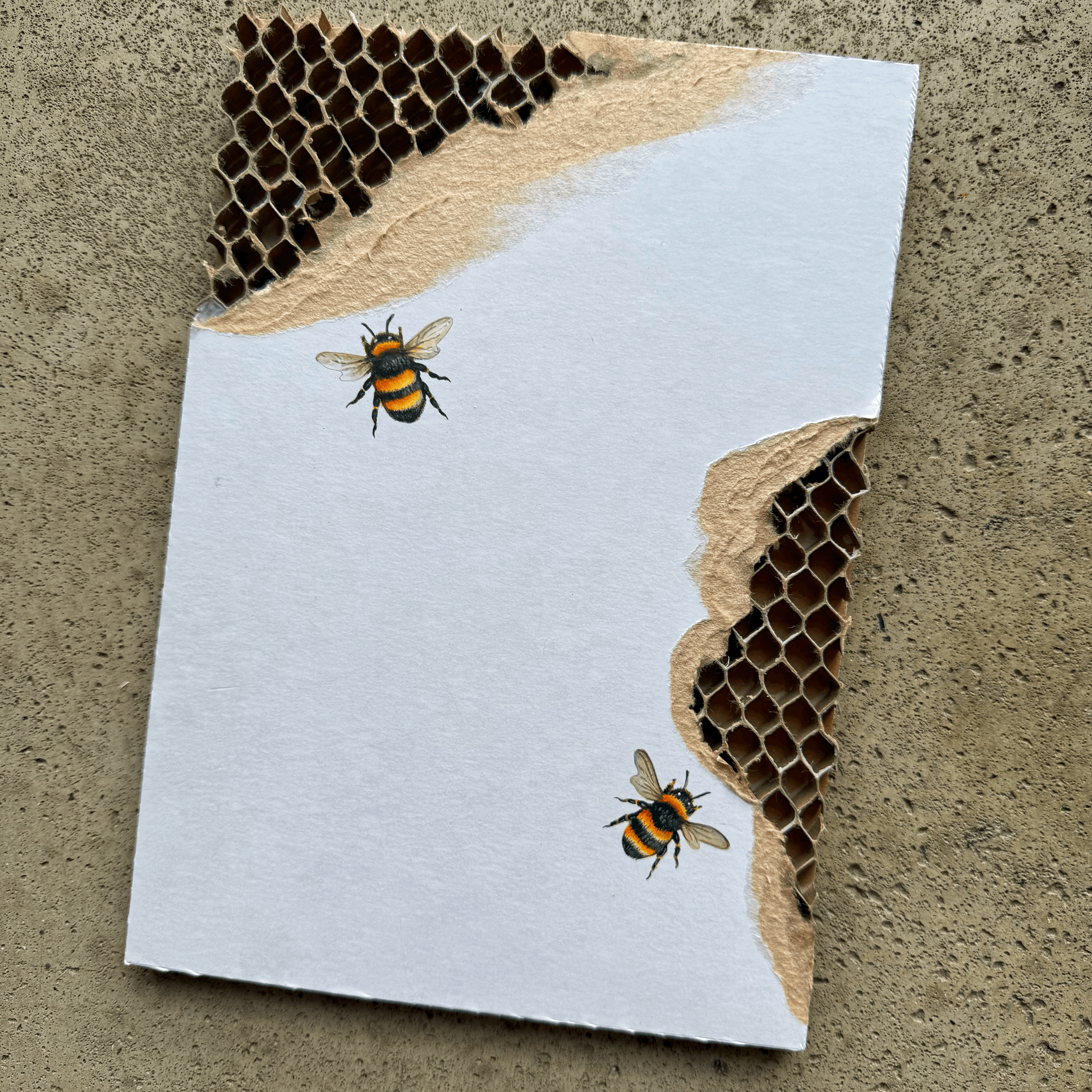 tempImagedw8Brq.gif