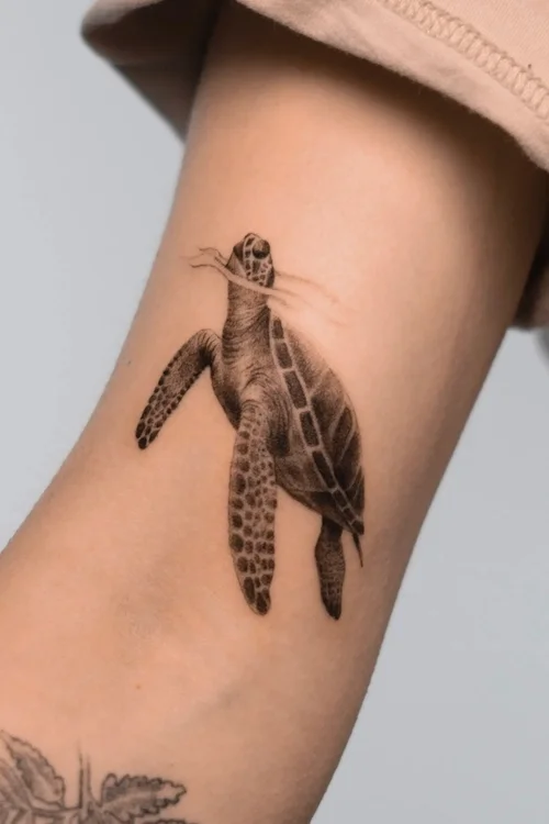 Turtle microrealism tattoo in Hereford by Ellie Reynolds