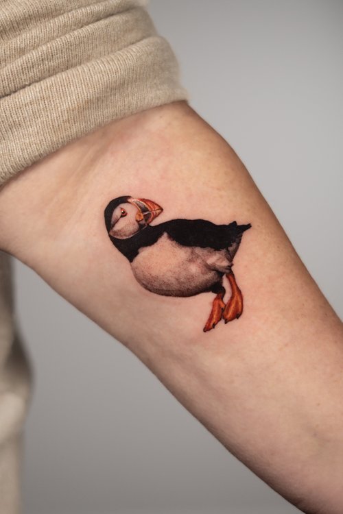Bird microrealism tattoo by Ellie