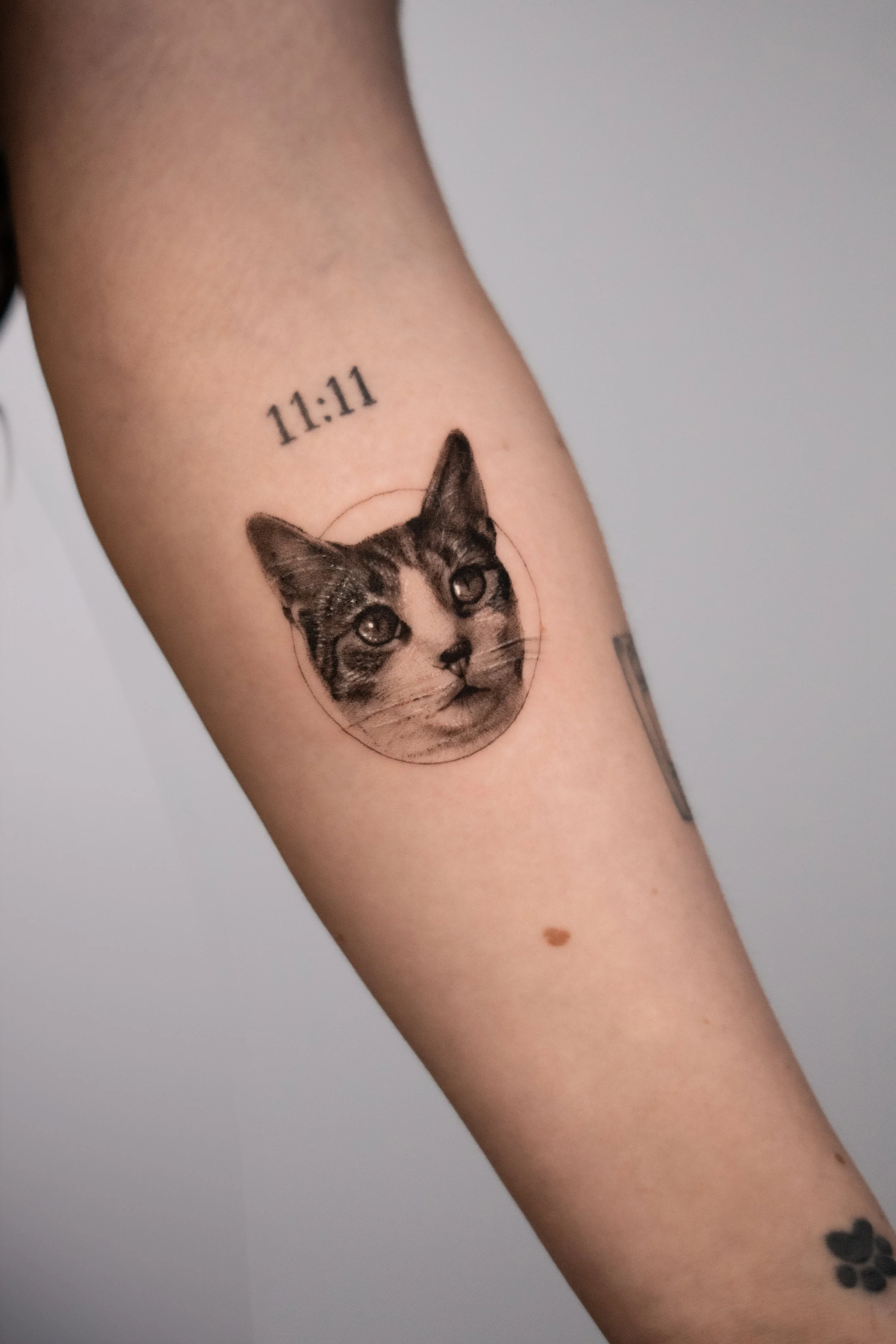 Pet Portrait Tattoo Cat