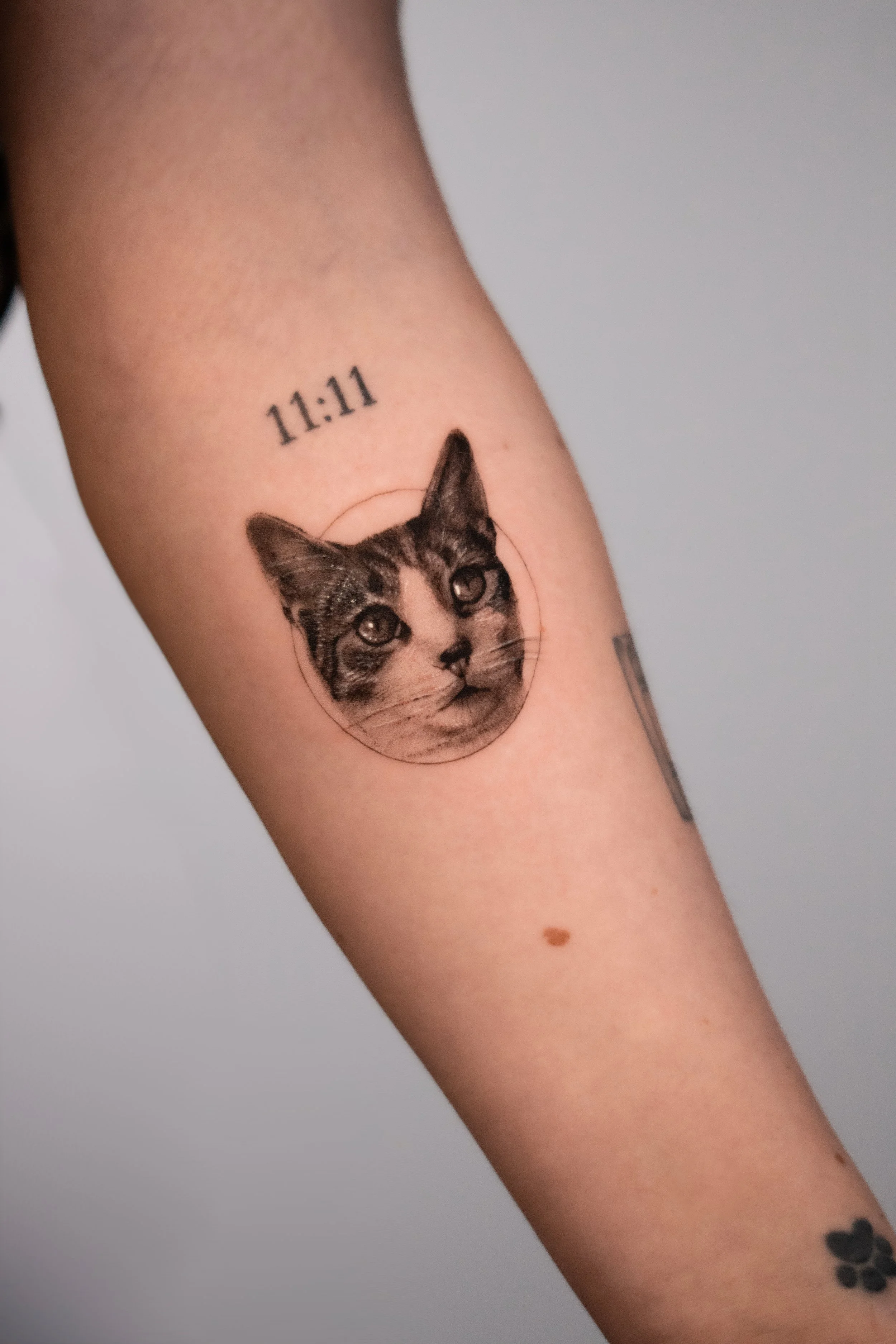 Cat-tattoo.jpg