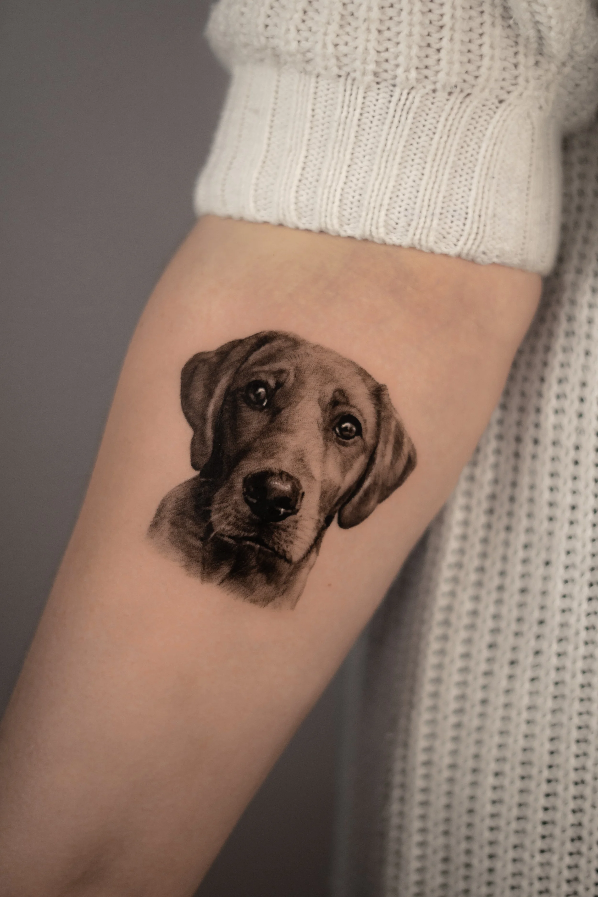 labrador_pet_portrait_tattoo.jpg