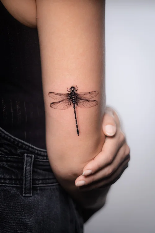 Dragonfly microrealism tattoo by Ellie Reynolds