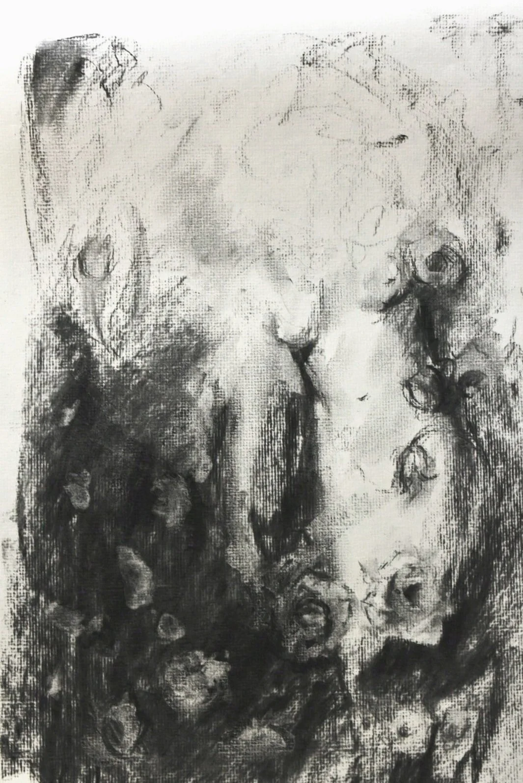11" x 17" Study for "Homage"- Charcoal on Paper. 2025. Available.