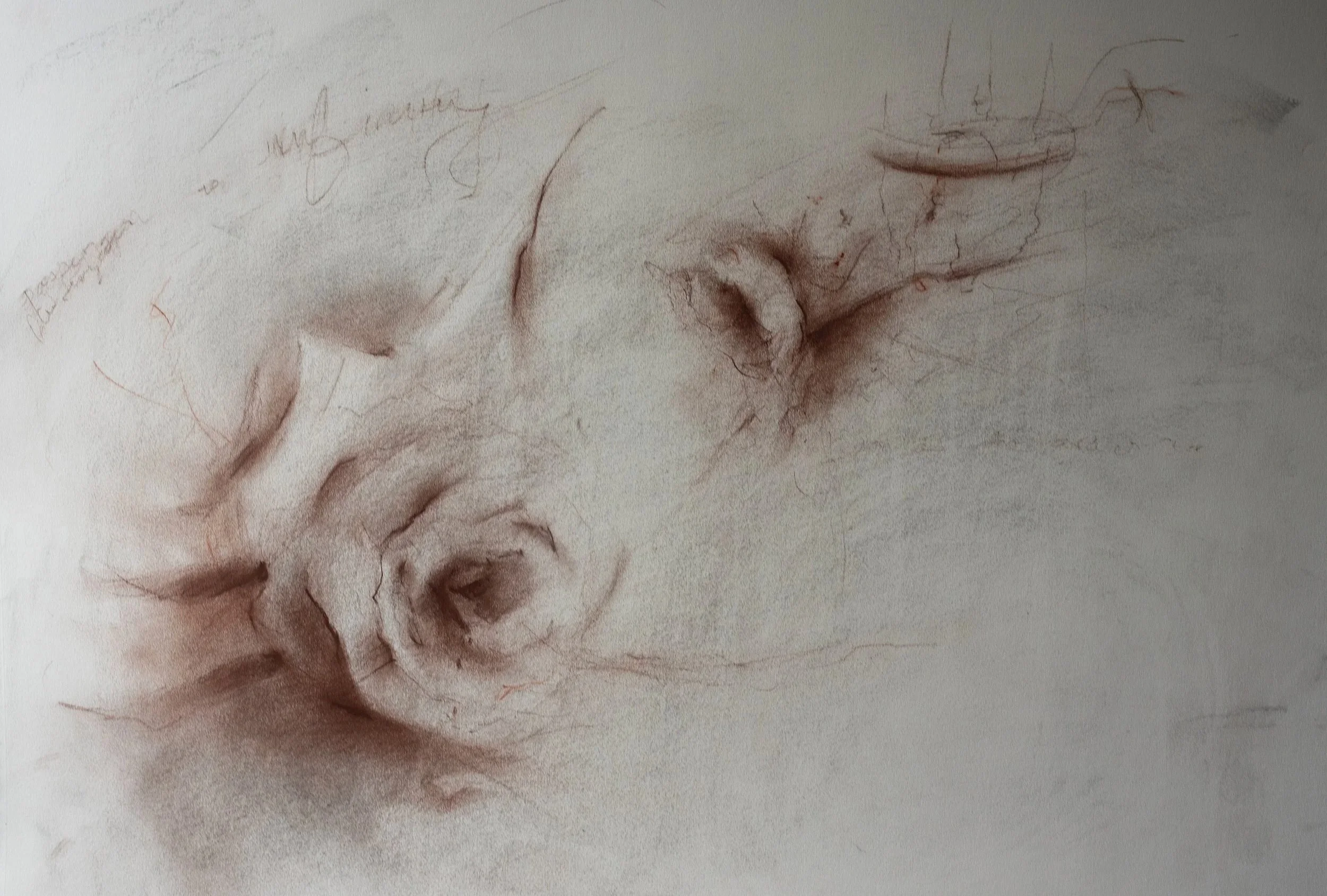 "Passenger (Infinity)" 18"x 24" Sepia, Sanguine and Charcoal on Paper.