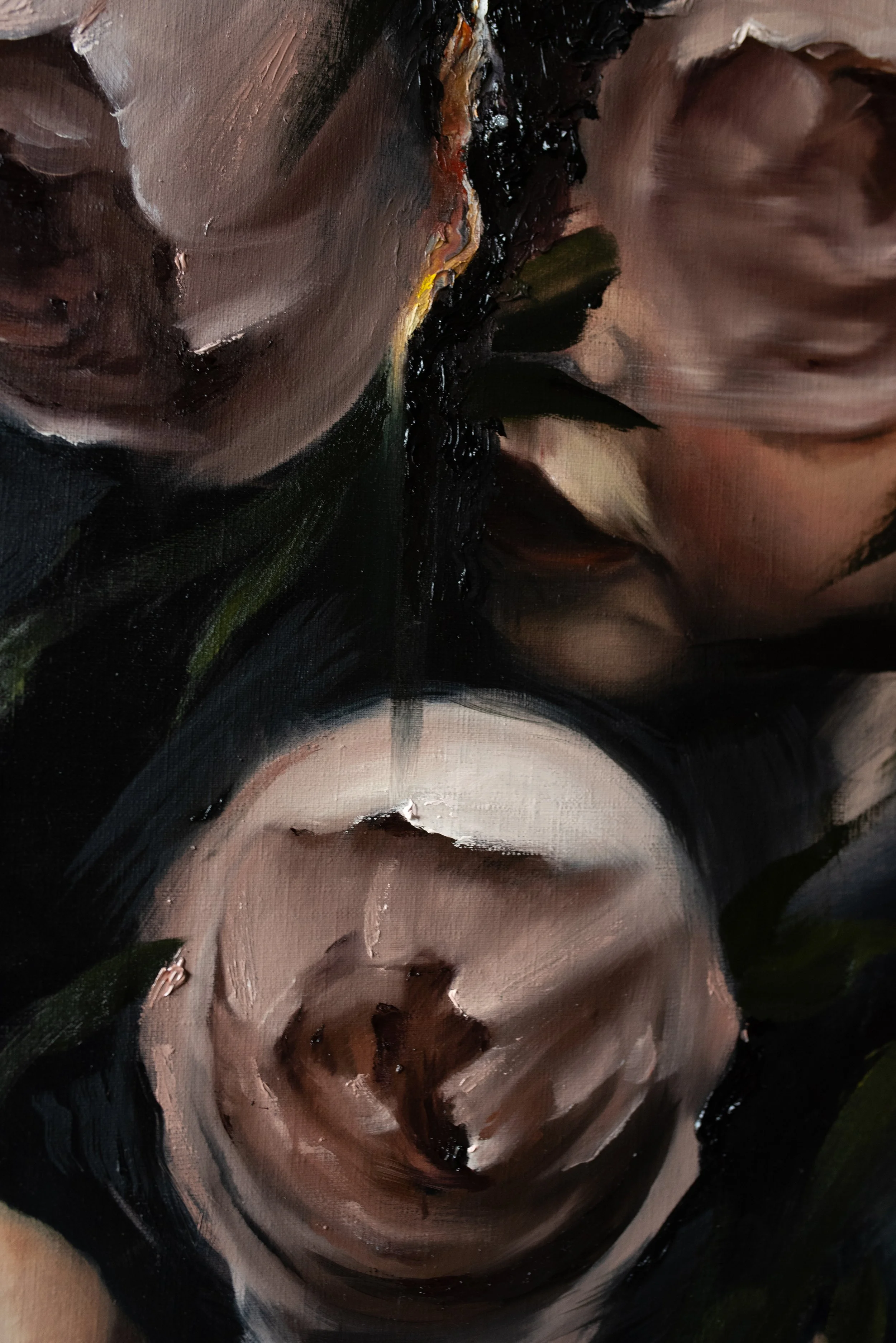 Pink Roses (In Passage) (1 of 1)-2.jpg