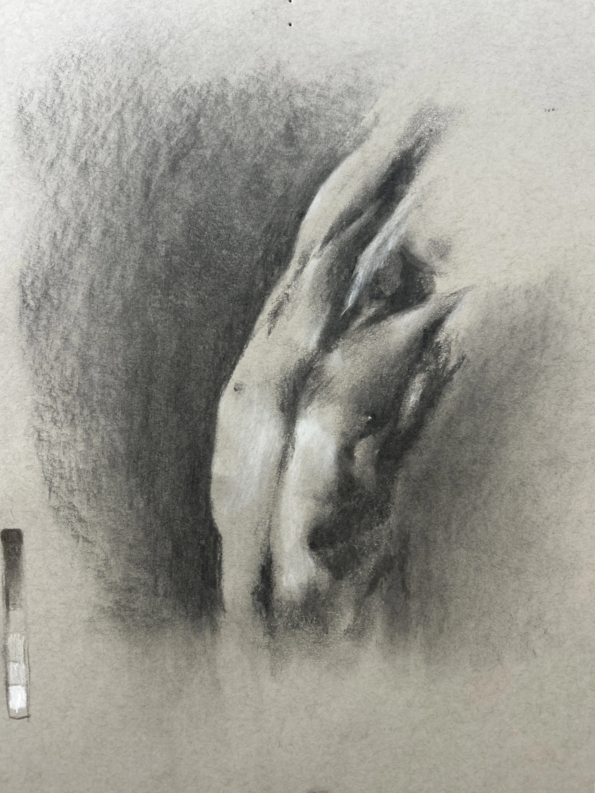 Figure Study 11" x 14" Charcoal and Chalk on Paper, 2025
