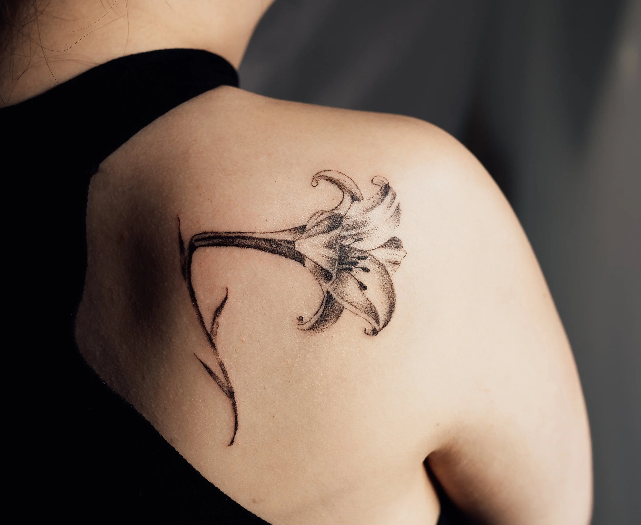lily-4.jpg