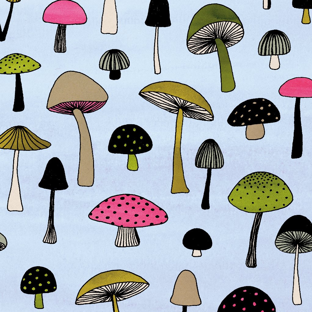 mushroom colour-01.jpg