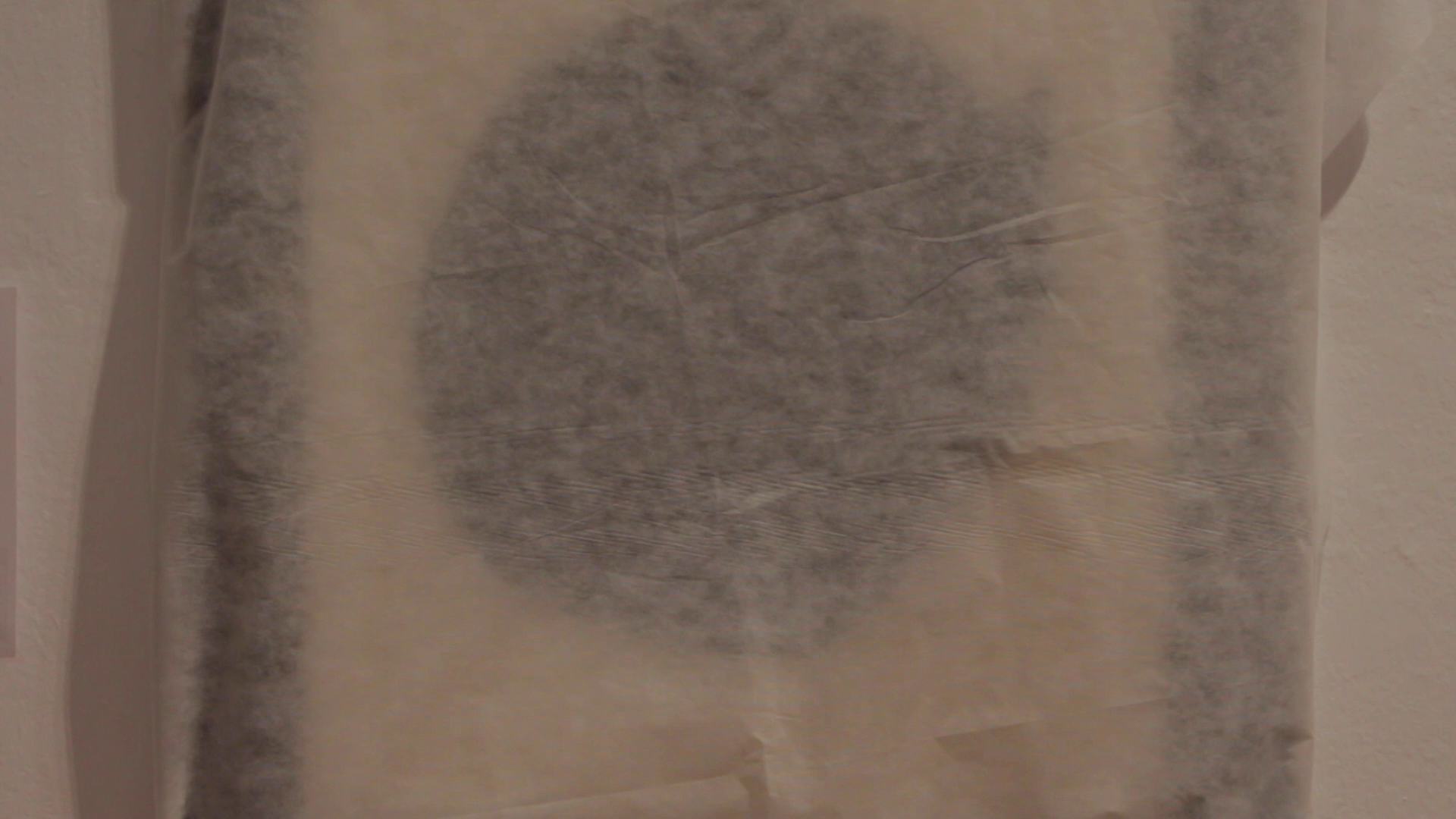vlcsnap-2025-07-13-19h47m06s761.png