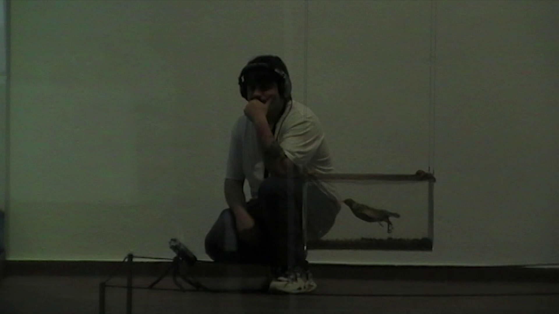 vlcsnap-2025-07-13-19h43m53s870.png