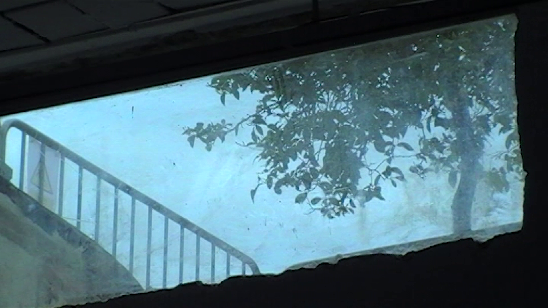 vlcsnap-2025-07-13-19h44m48s424.png