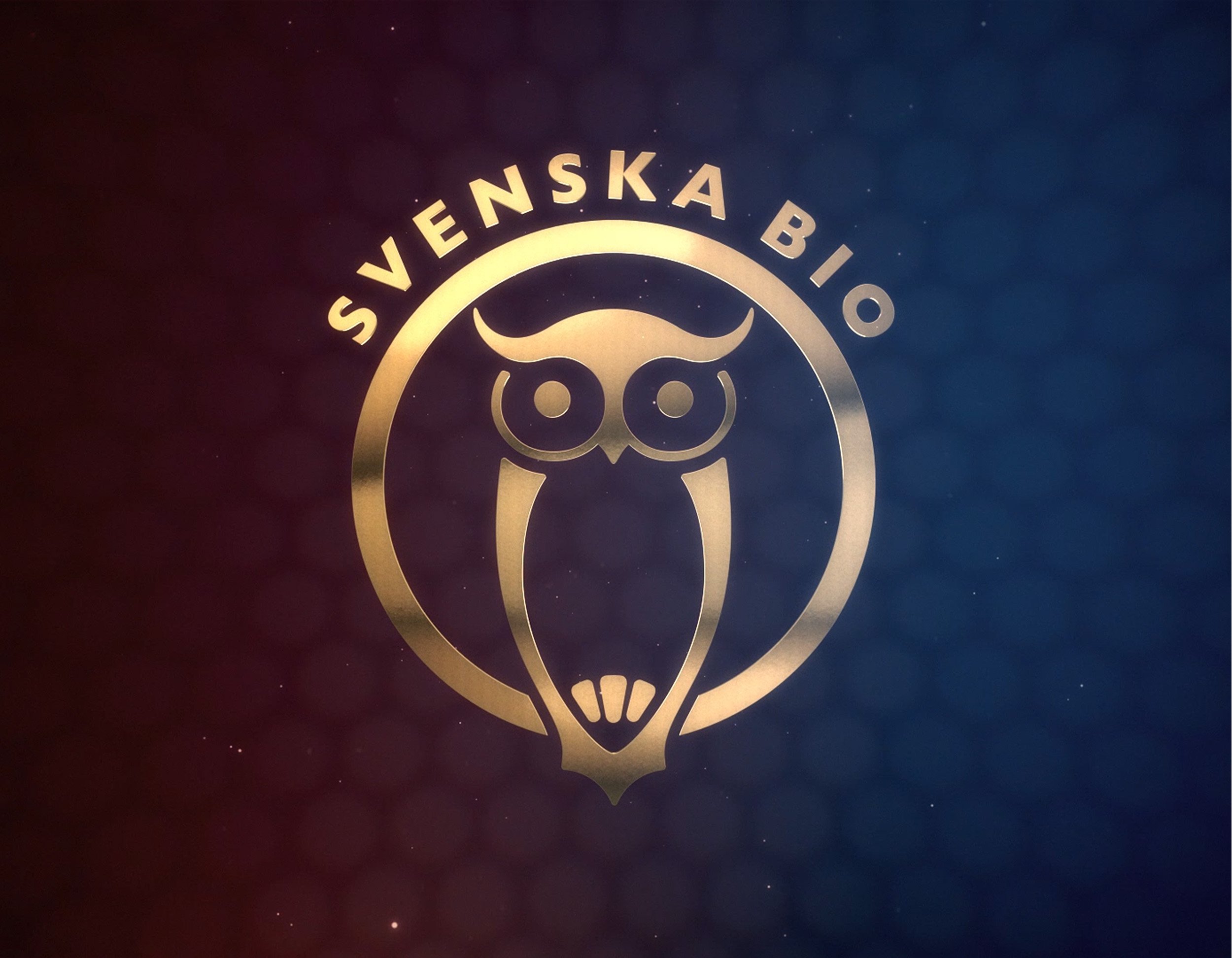 logo.jpg
