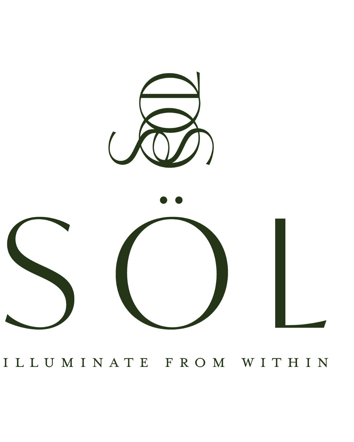 SOL full logo.jpeg