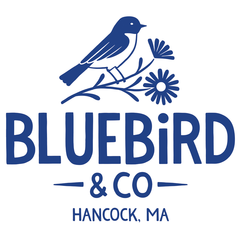 Blue Bird &amp; Co