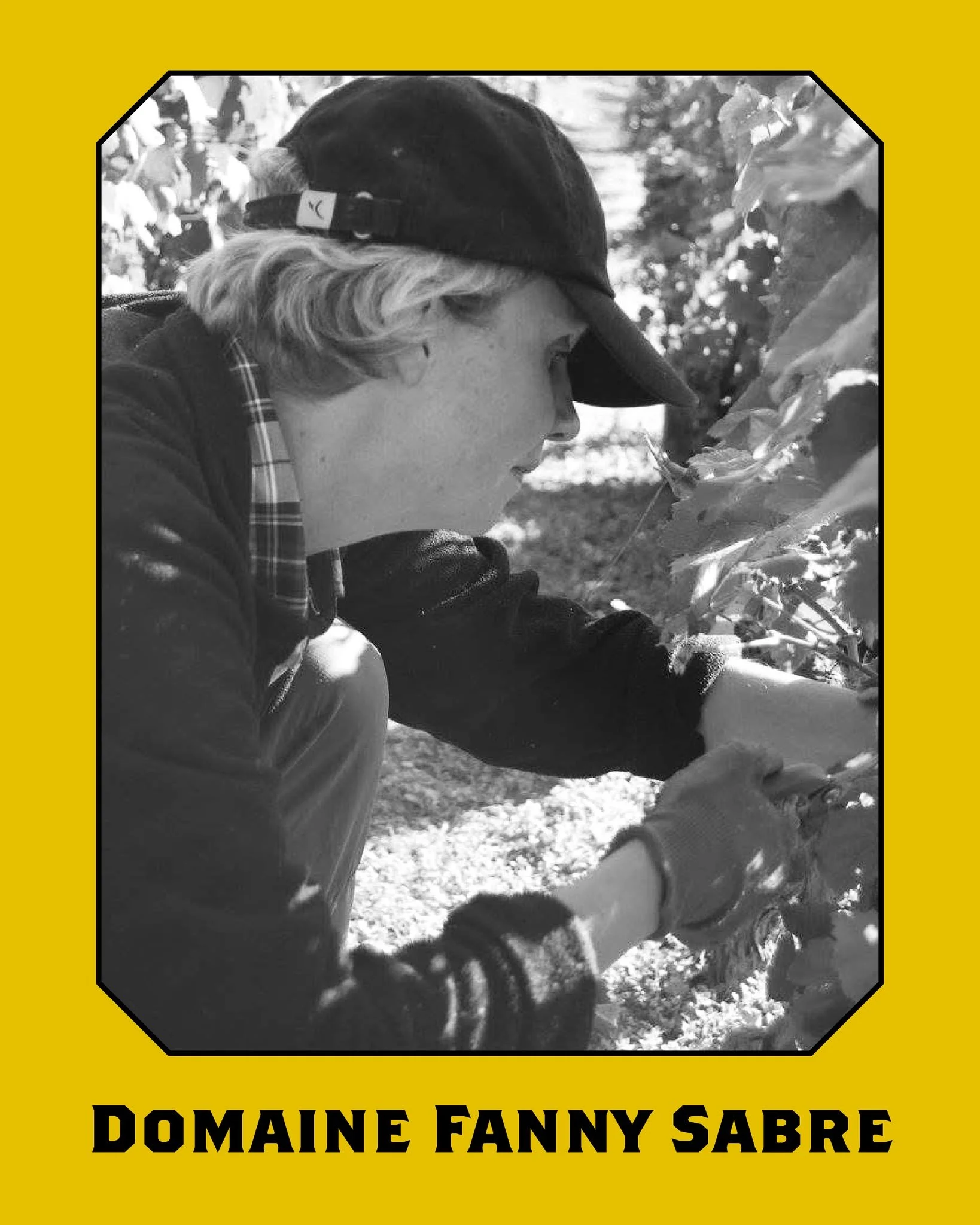 𝐅𝐎𝐂𝐔𝐒 𝐕𝐈𝐆𝐍𝐄𝐑𝐎𝐍 - 𝐅𝐀𝐍𝐍𝐘 𝐒𝐀𝐁𝐑𝐄
A seulement 25 ans, Fanny Sabre reprend le domaine familial &agrave; Pommard et s&rsquo;impose comme une figure du vin vivant en Bourgogne. Form&eacute;e aupr&egrave;s de Philippe Pacalet, elle conv