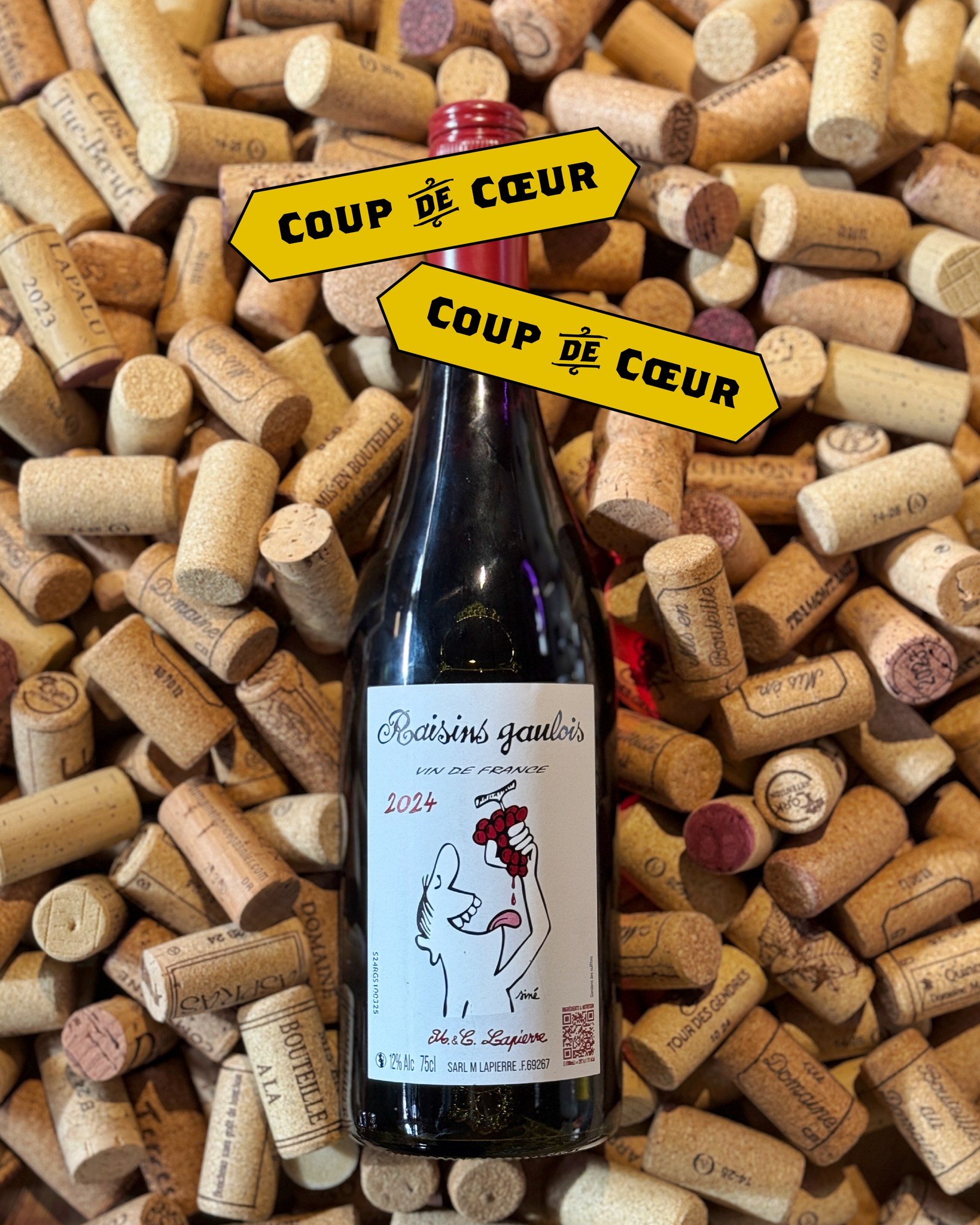 𝐂𝐨𝐮𝐩 𝐝𝐞 💛 
🍷Raisins Gaulois - Domaine Mathieu et Camil🍷Raisins Gaulois - Domaine Mathieu et Camil#cotesdarmorle Lapierre
Une cuv&eacute;e &agrave; savourer autour d'une tabl&eacute;e de copains ! Vin de France, issu de la production des jeun