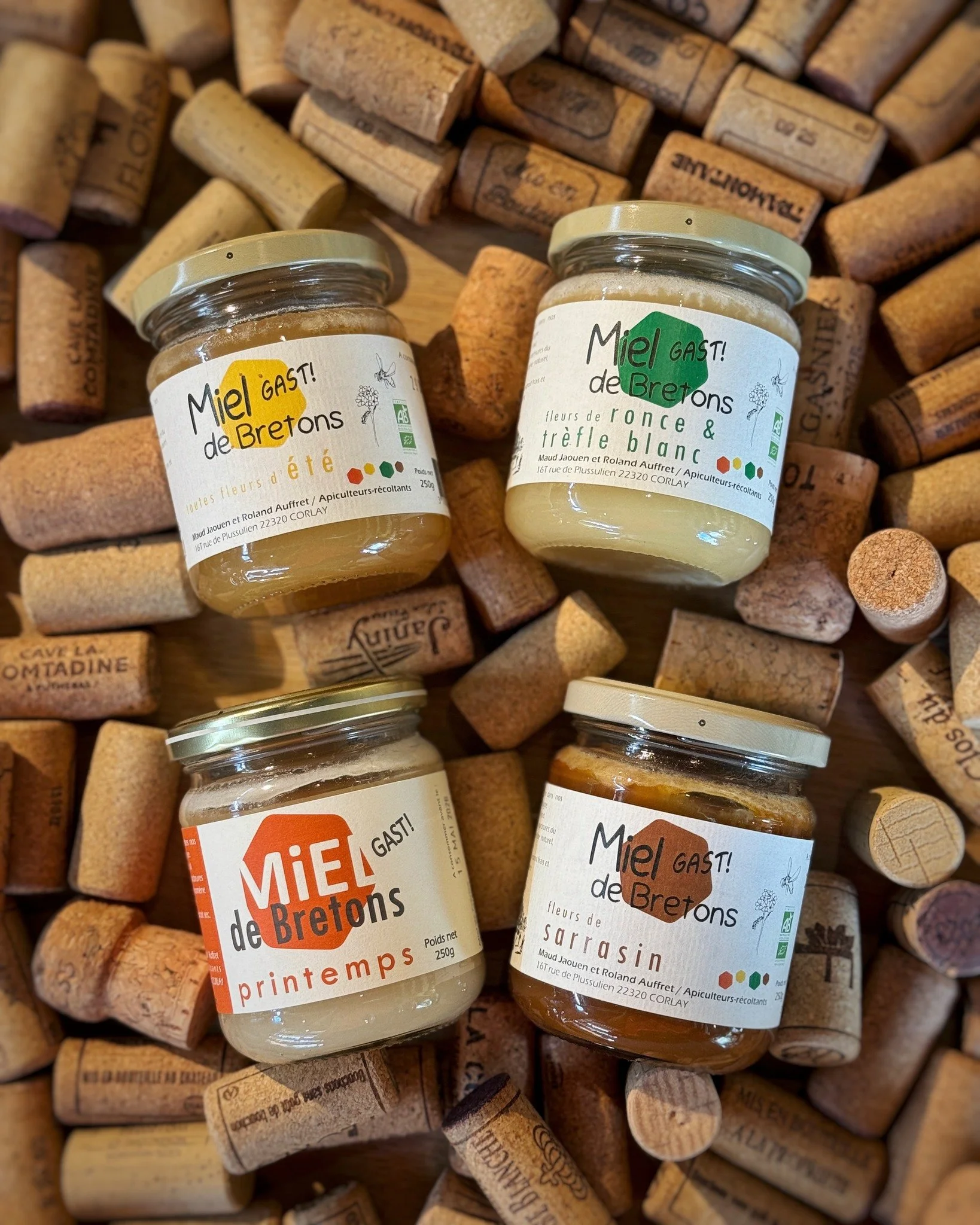 🍯 &Agrave; la d&eacute;couverte d'un tr&eacute;sor de Bretagne 🐝
Direction Corlay, en Centre-Bretagne, o&ugrave; Maud Jaouen et Roland Auffret, apiculteurs-r&eacute;coltants, prennent soin des abeilles qui butinent autour de leur miellerie.
Le r&ea