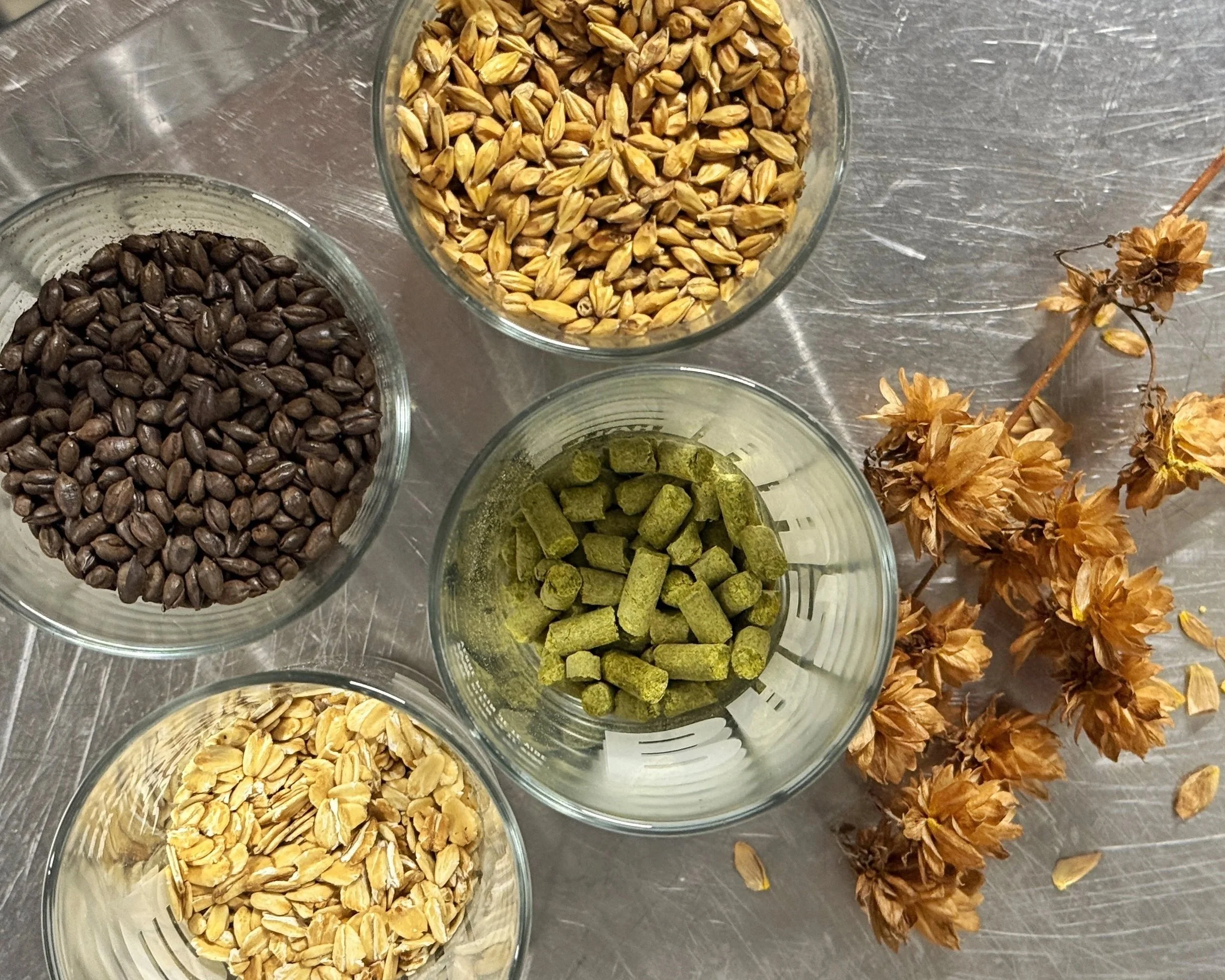 Atelier Brassicole : malt orge, houblon, avoine...