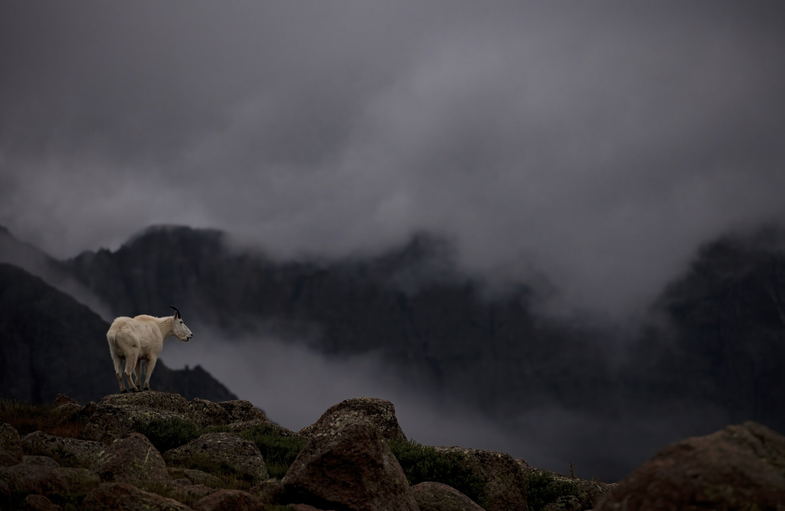 Aegis Security Insurance Company