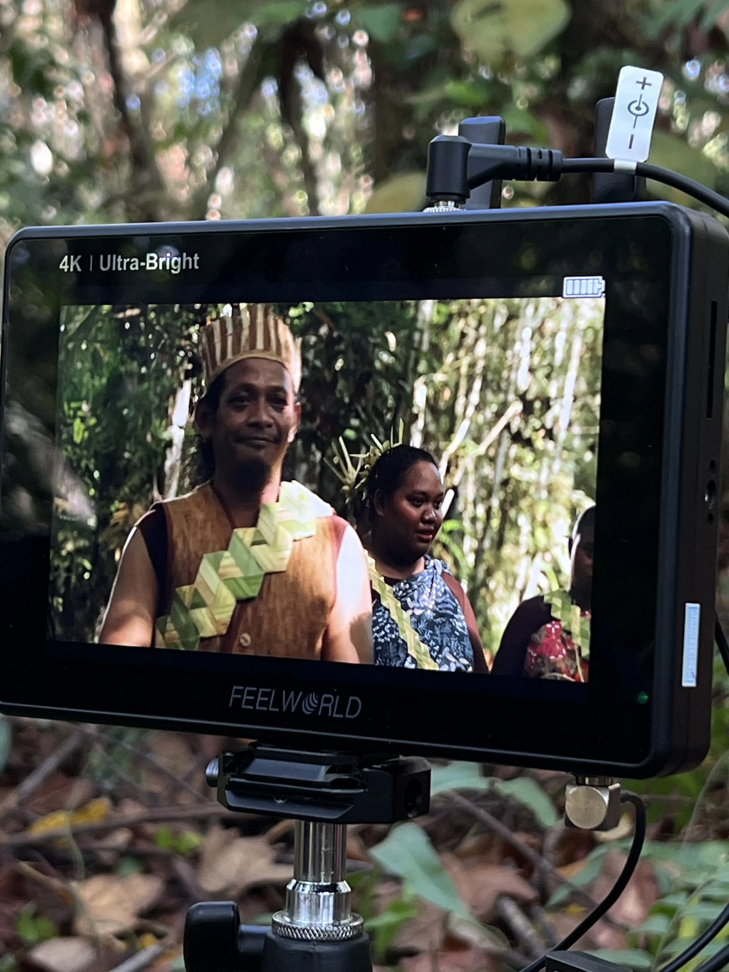 Unveiling the Majesty Documentary