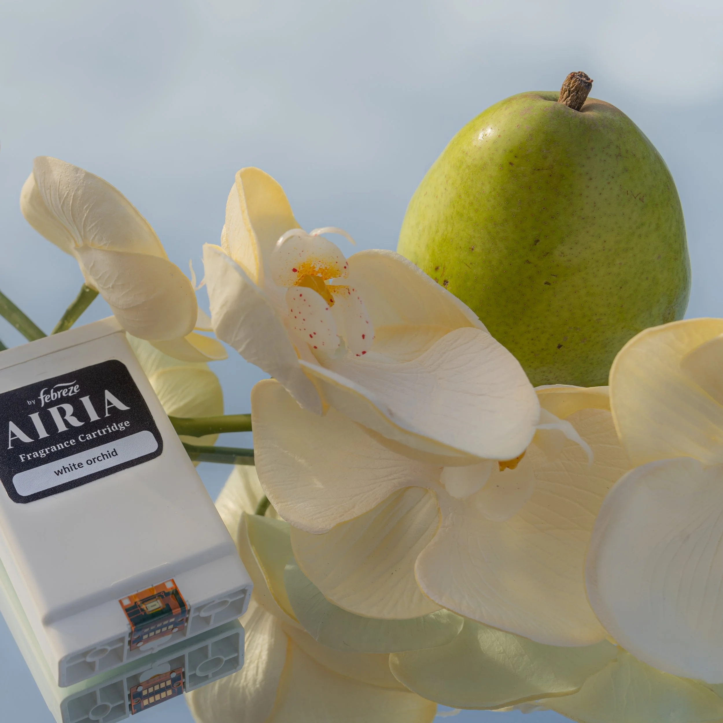 AIRIA_exportMar16-4.jpg