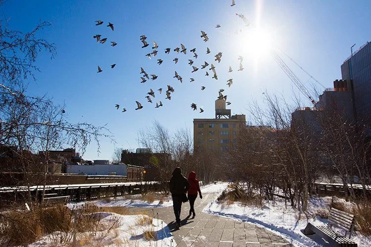above & below the Highline