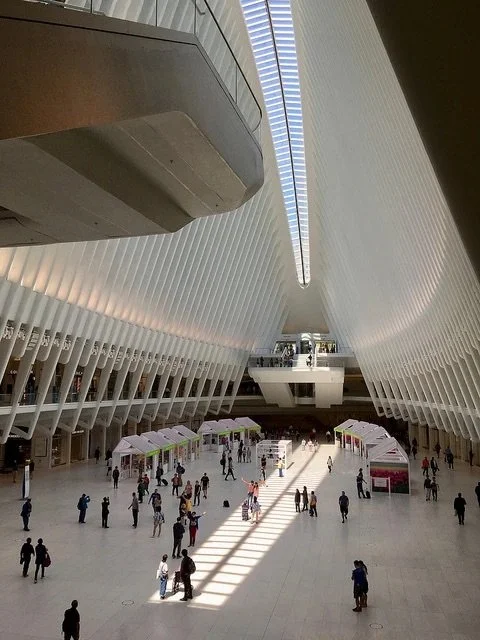 Torensinoculus .jpeg