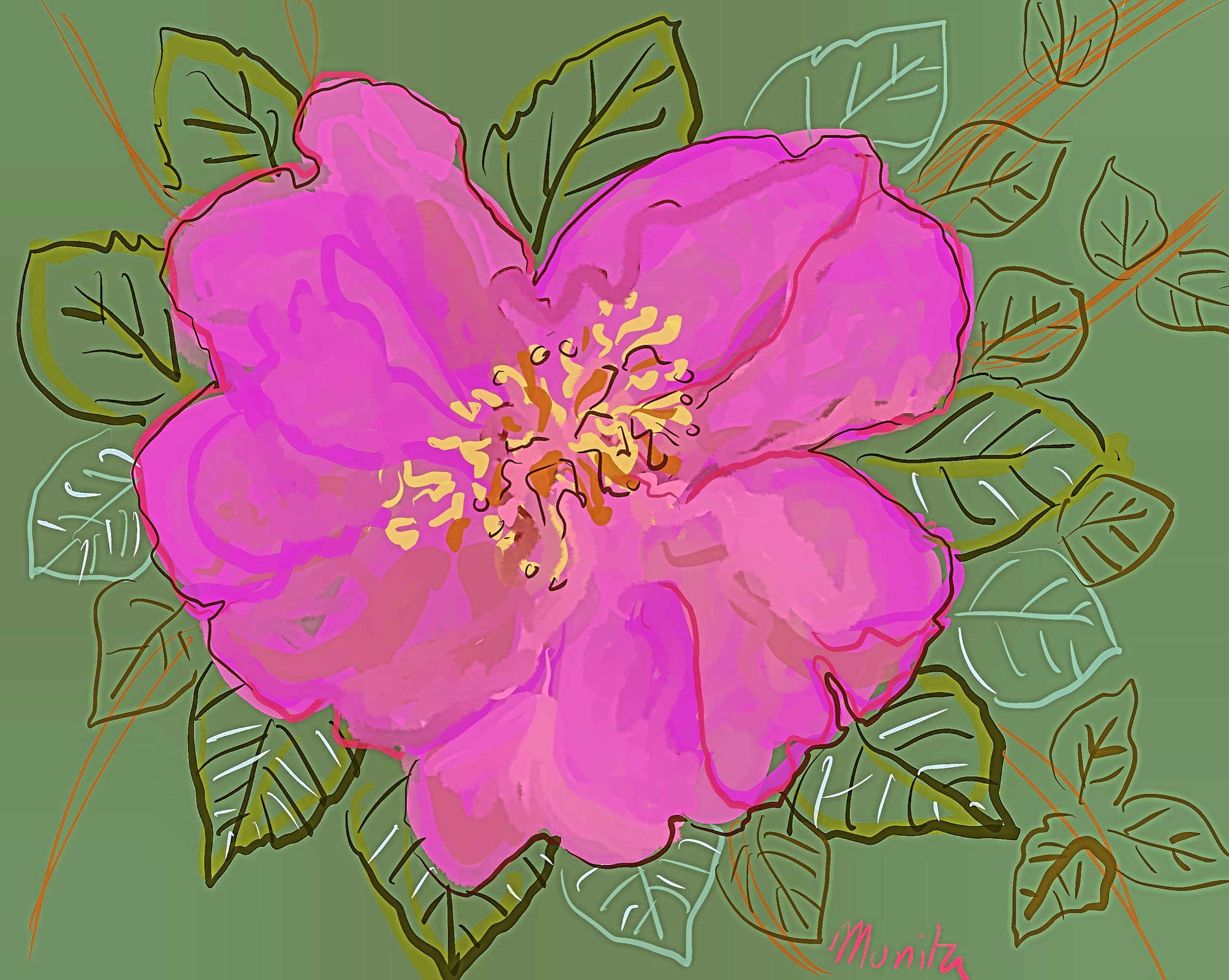 Pink Camelia