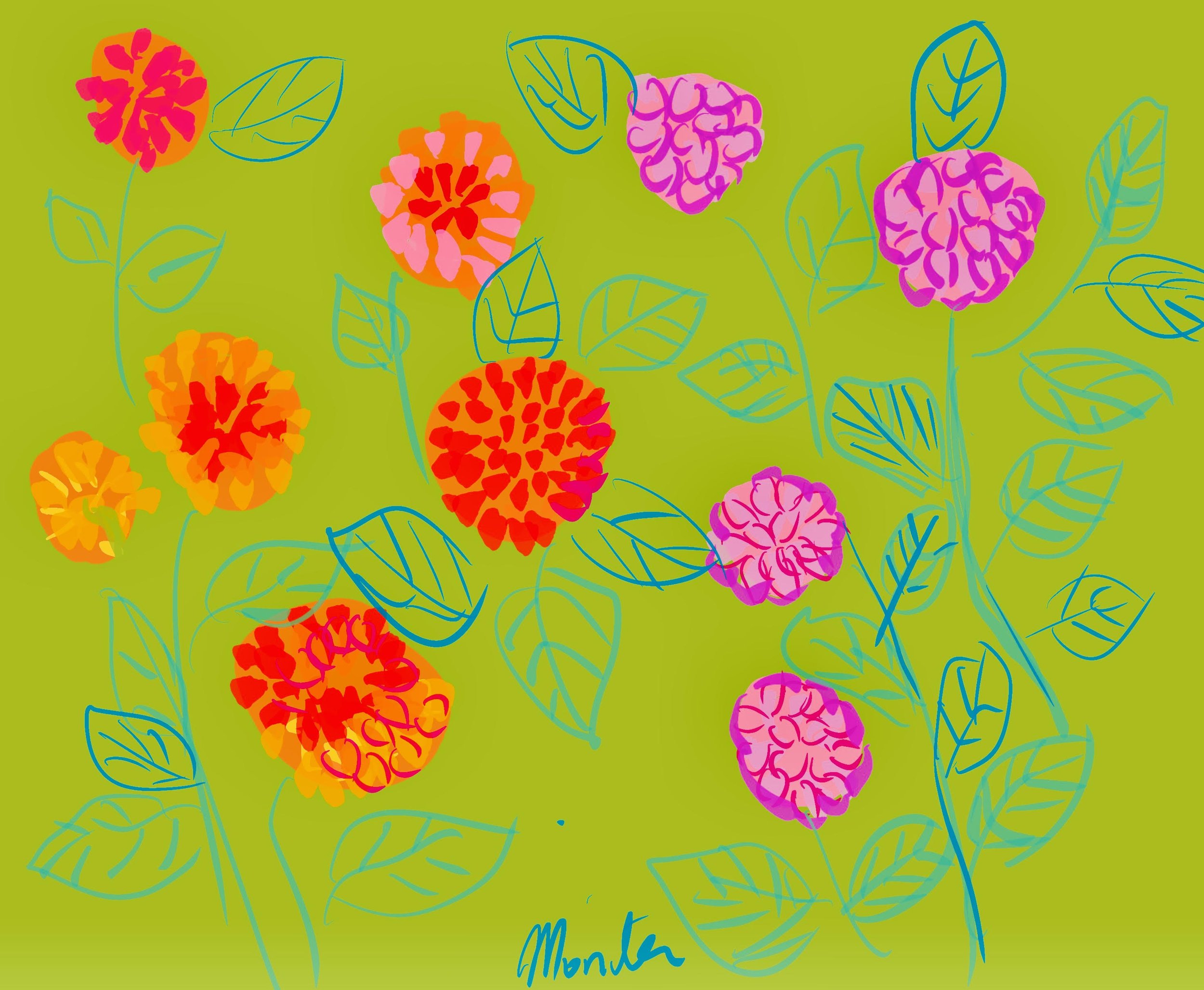 Colorful Zinnias