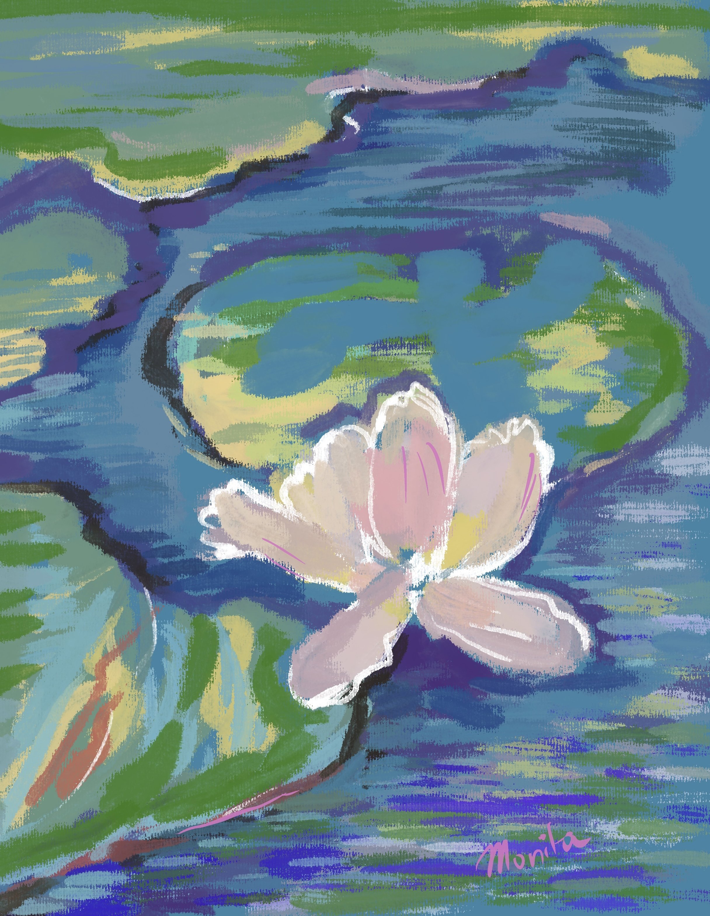 Lilly Pad Reflections