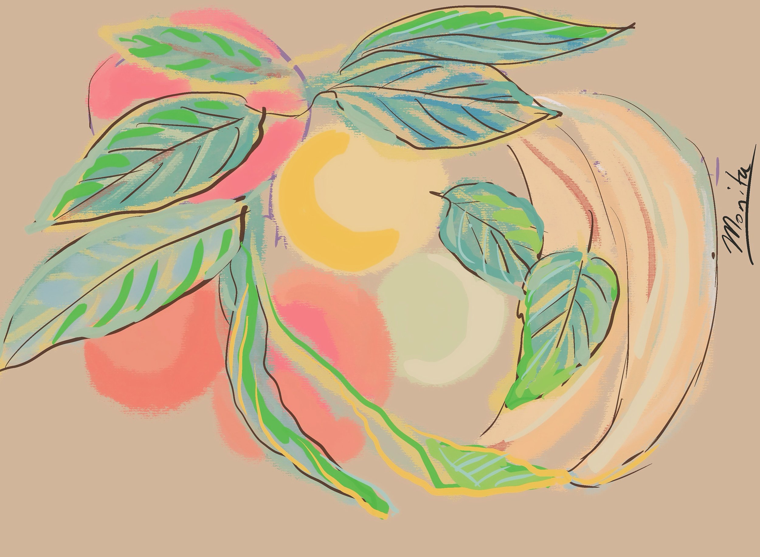 Citrus Still Life
