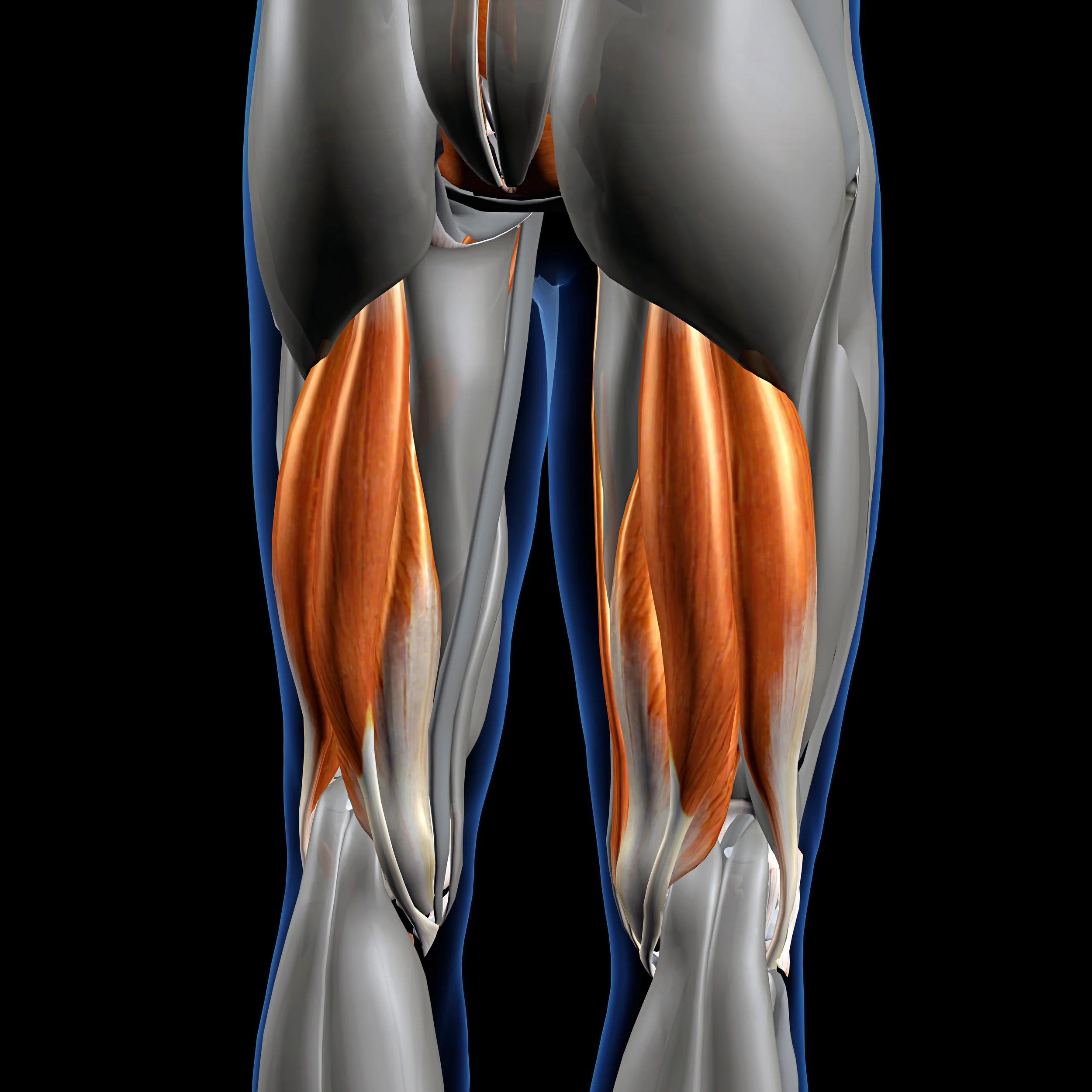 Hamstring Injuries are Common