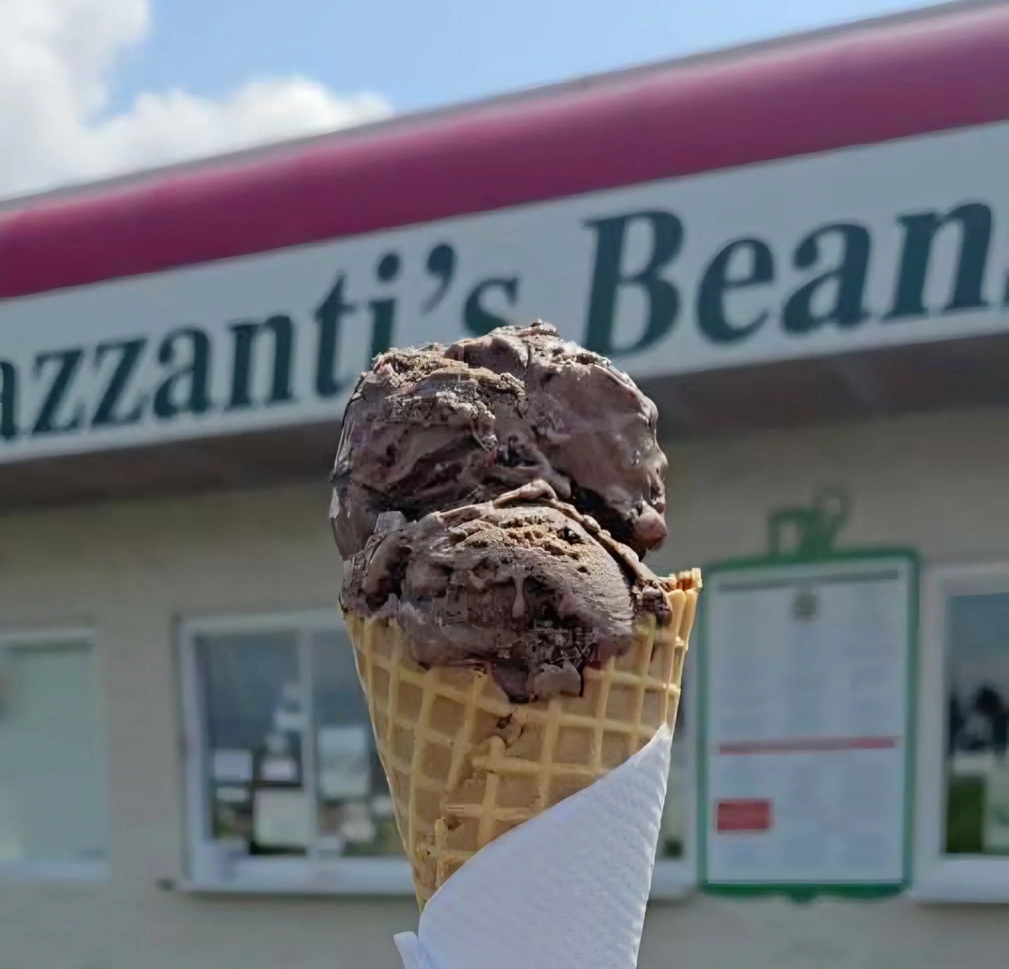Chocolate Raspberry Truffle 1.jpg