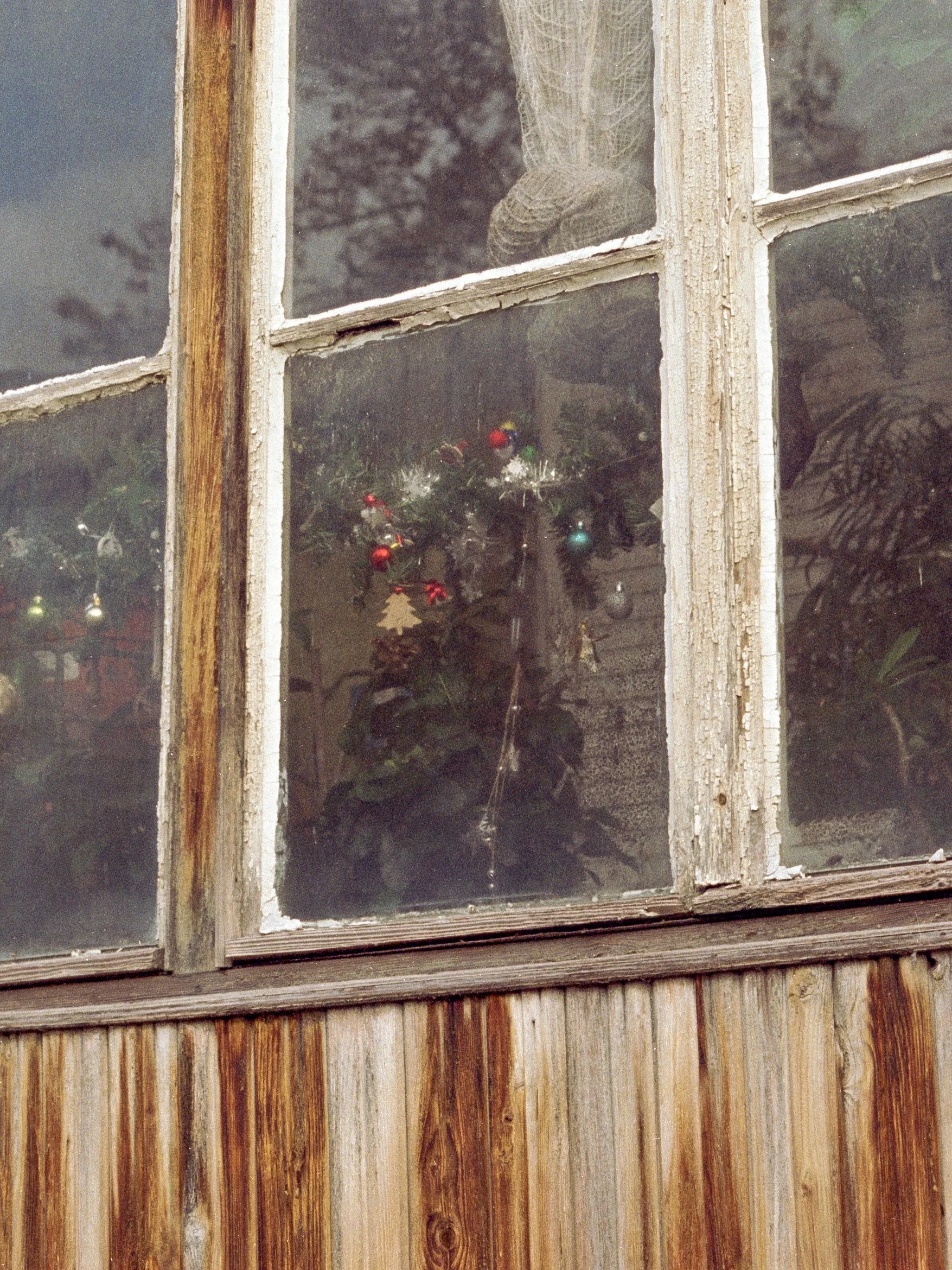 suburban truthfulness (4).jpg