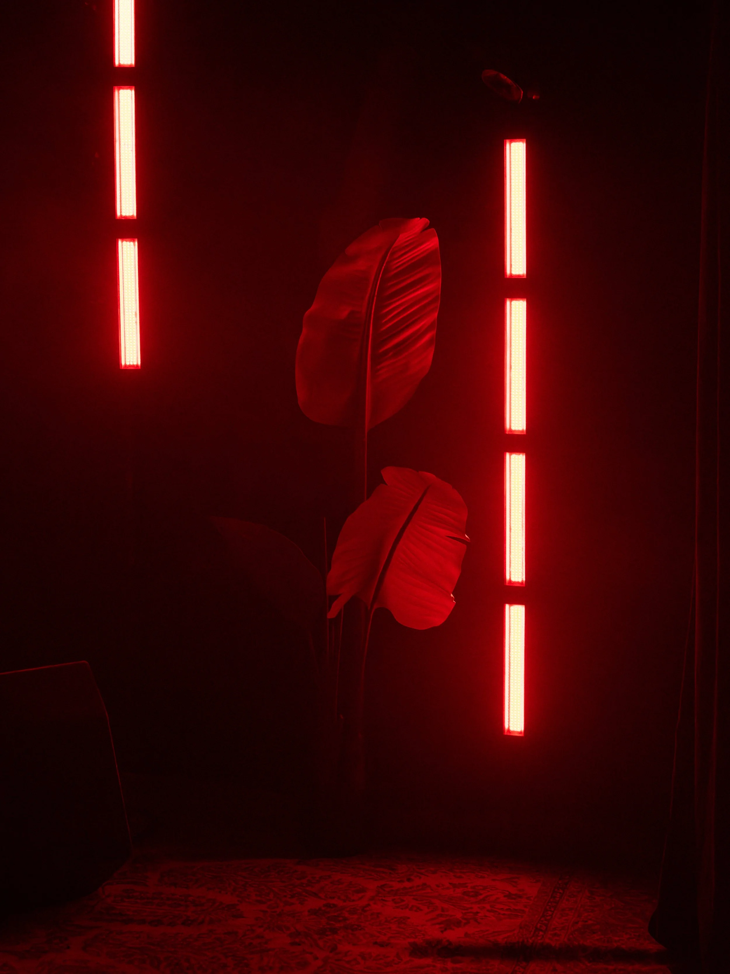 bedroom_day1 (10).jpg