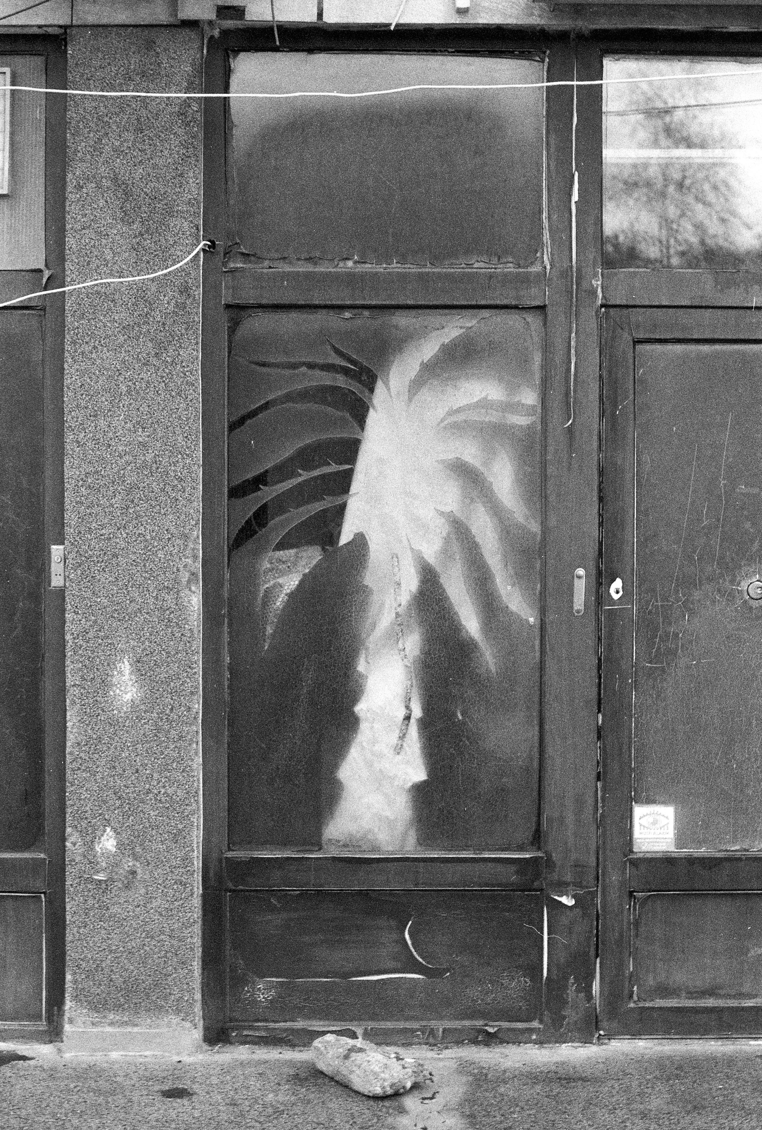 suburban truthfulness (3).jpg