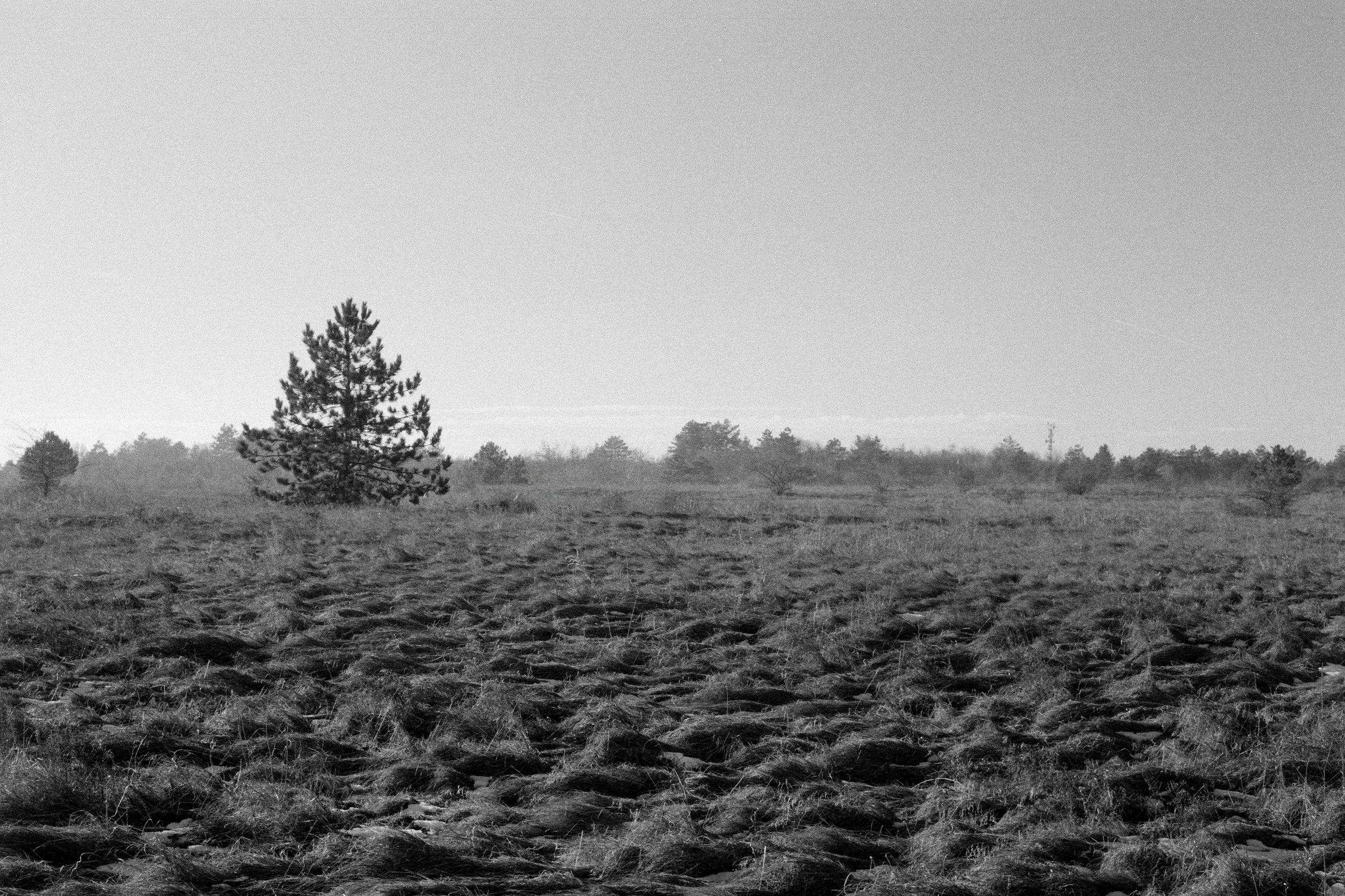 2025-01-19-0028-Edit.jpg