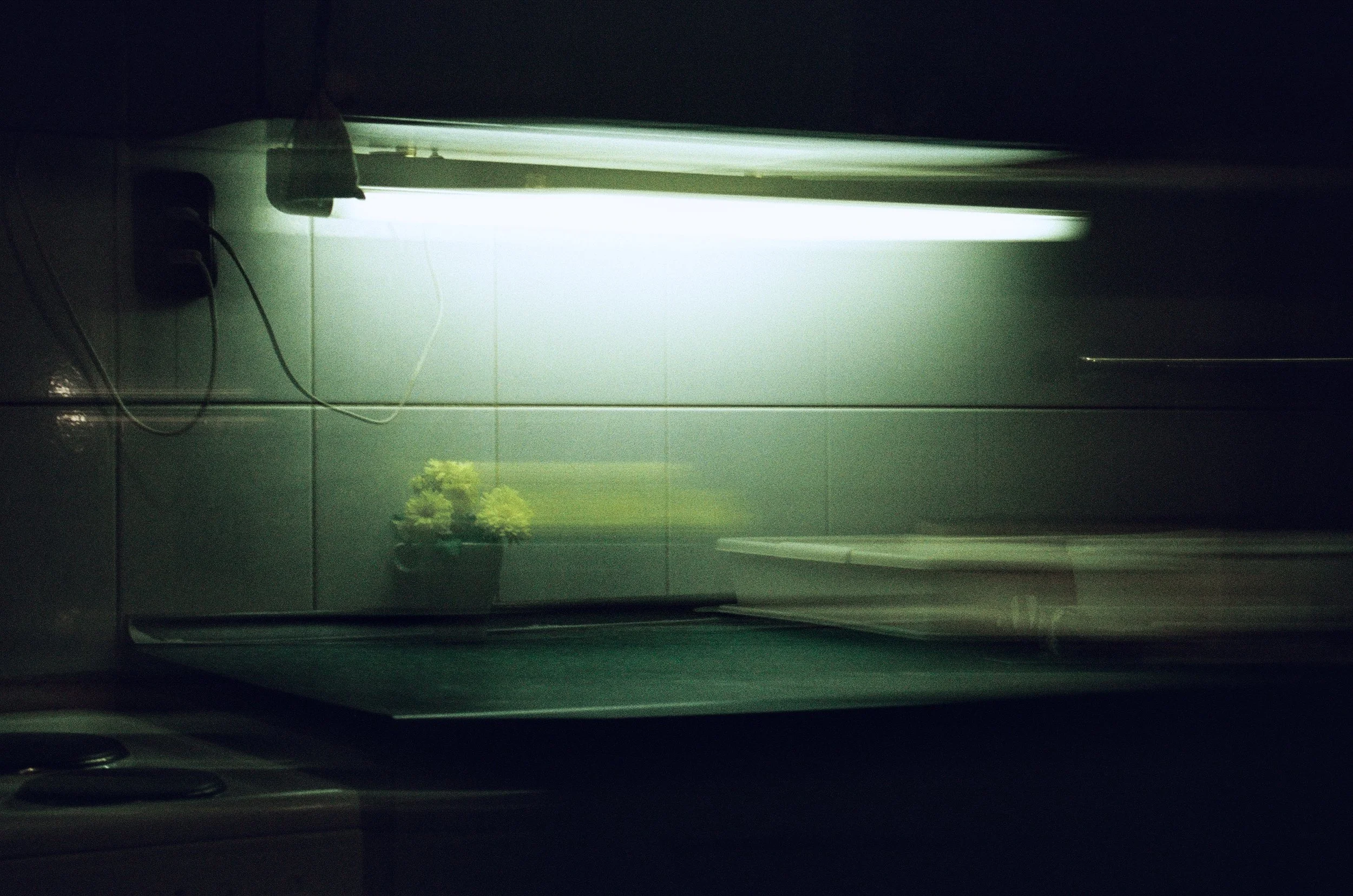 A dark room with a bright fluorescent light illuminating a small table with a potted plant, some papers, and a white tray.