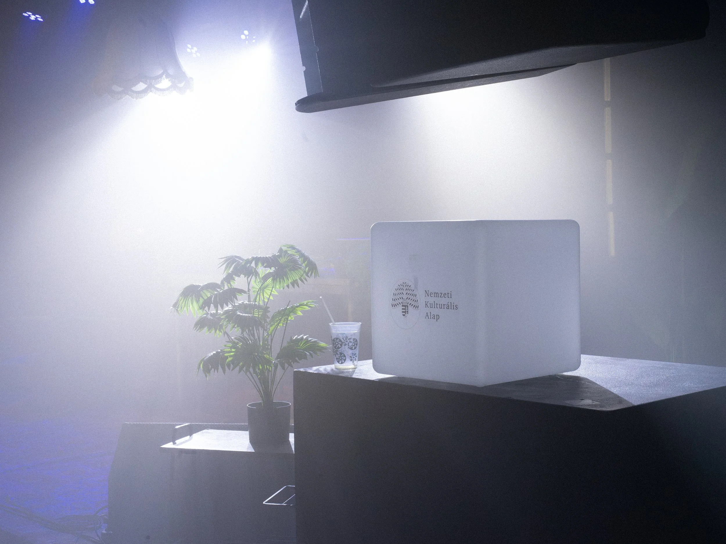 bedroom_day1 (98).jpg