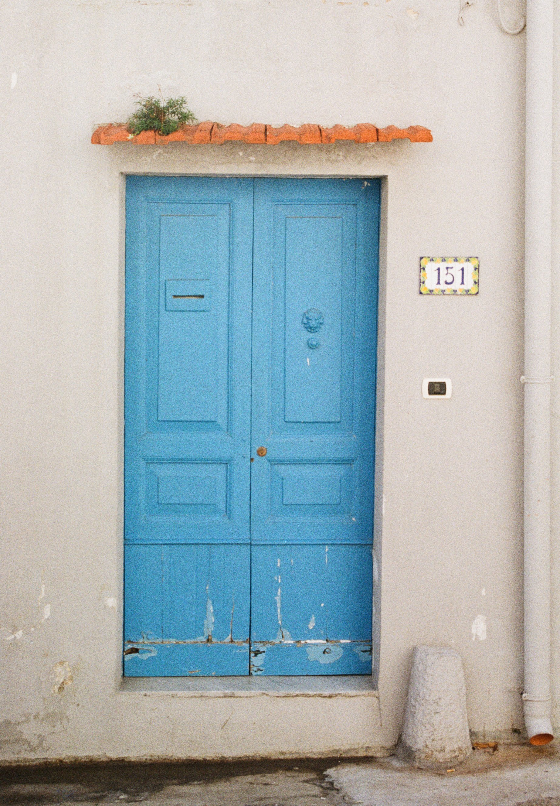 A weathered blue door with peeling paint and a small brass mail slot, set in a white wall, with a plant on a small red-tile roof above it, and a colorful house number plaque reading '151' to the right.