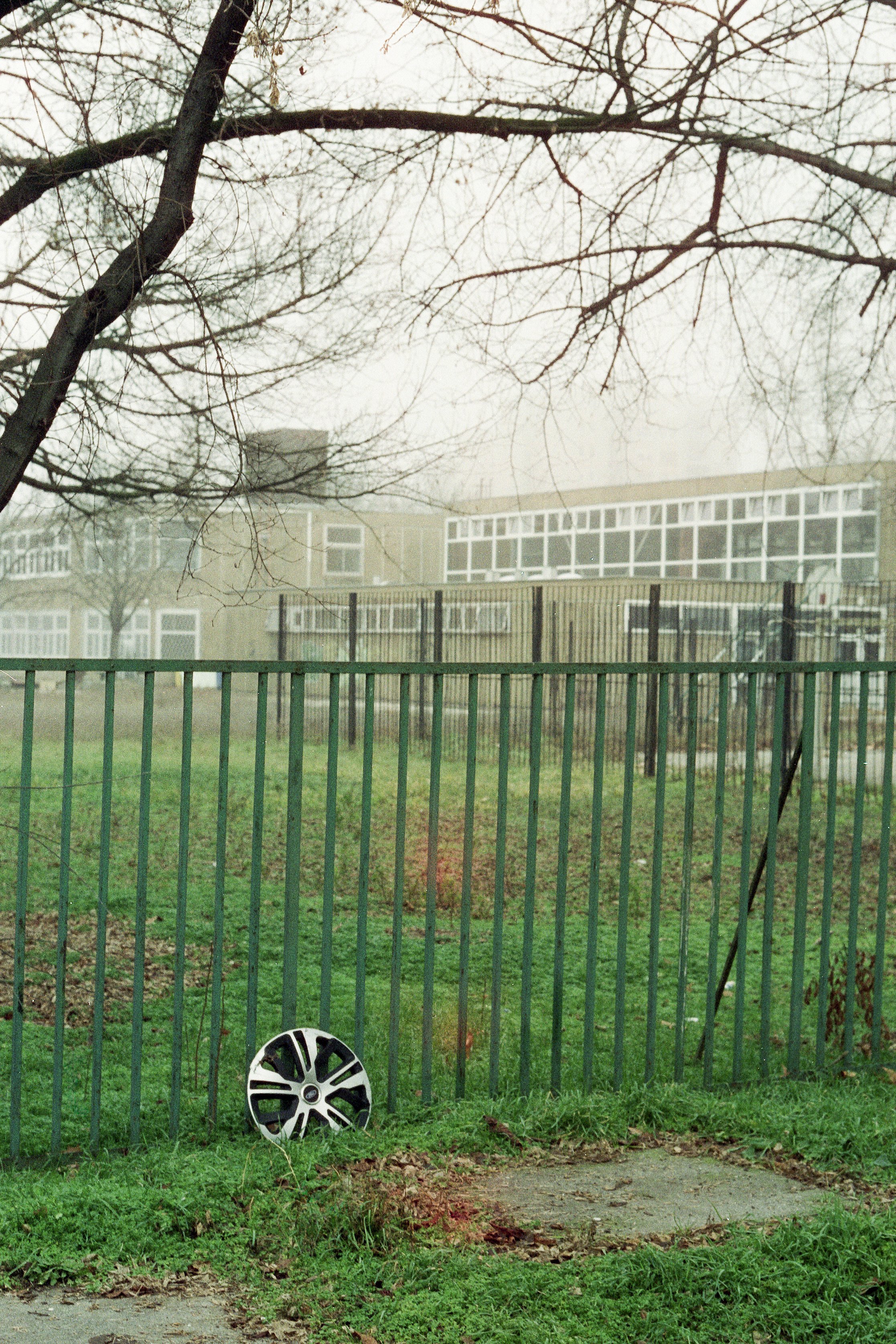 suburban truthfulness (10).jpg