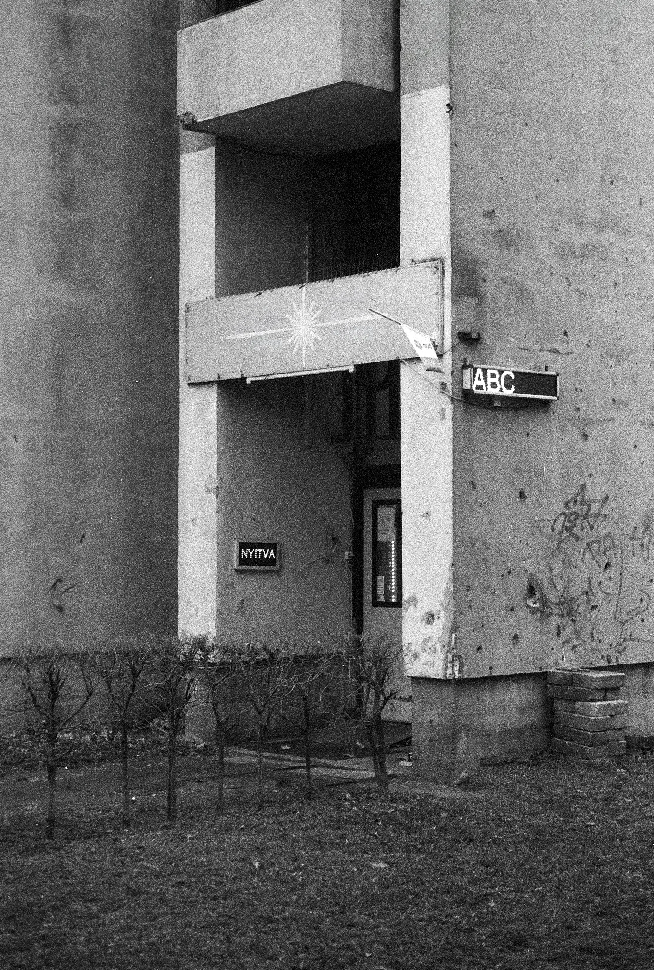 suburban truthfulness (1).jpg