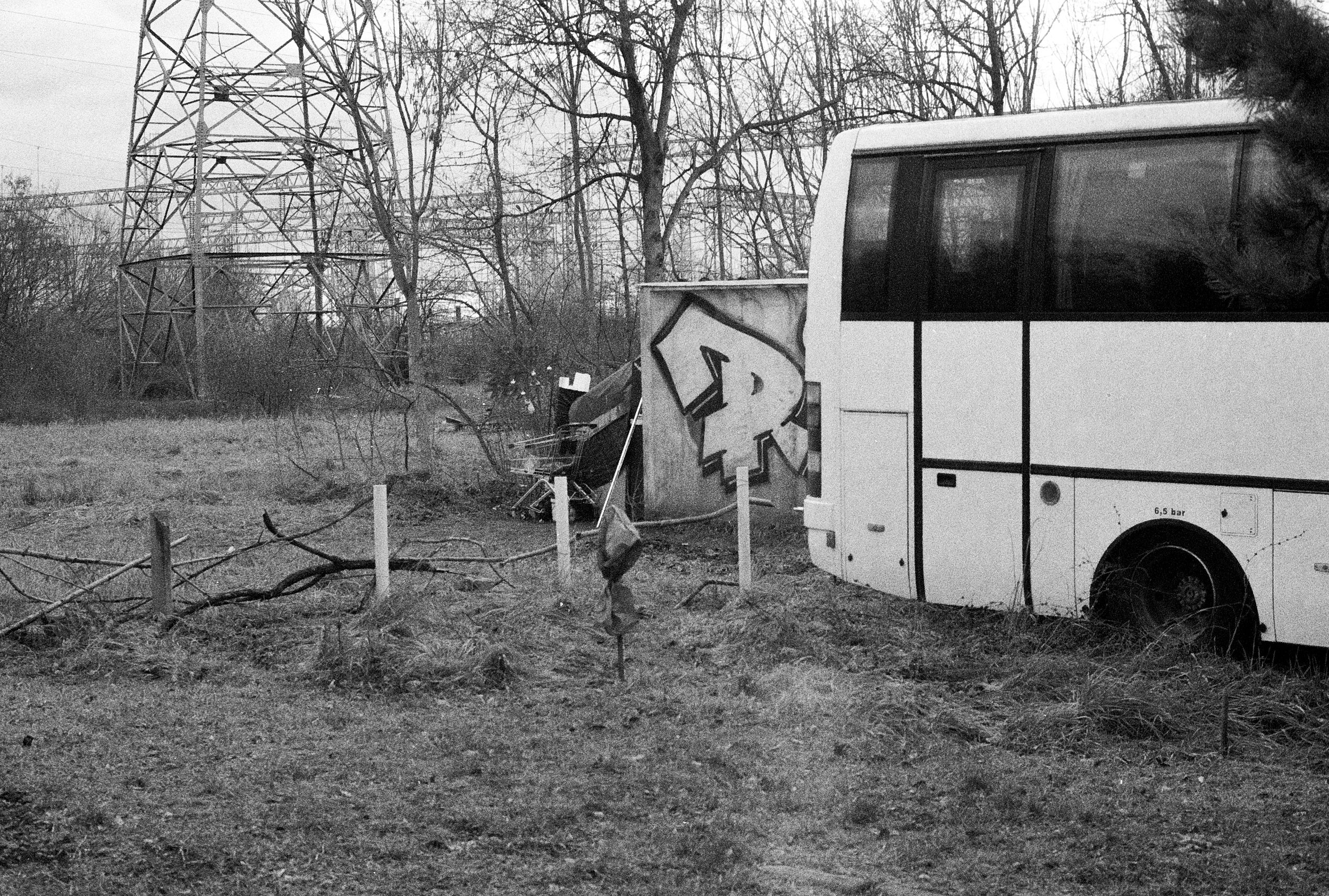 suburban truthfulness (2).jpg