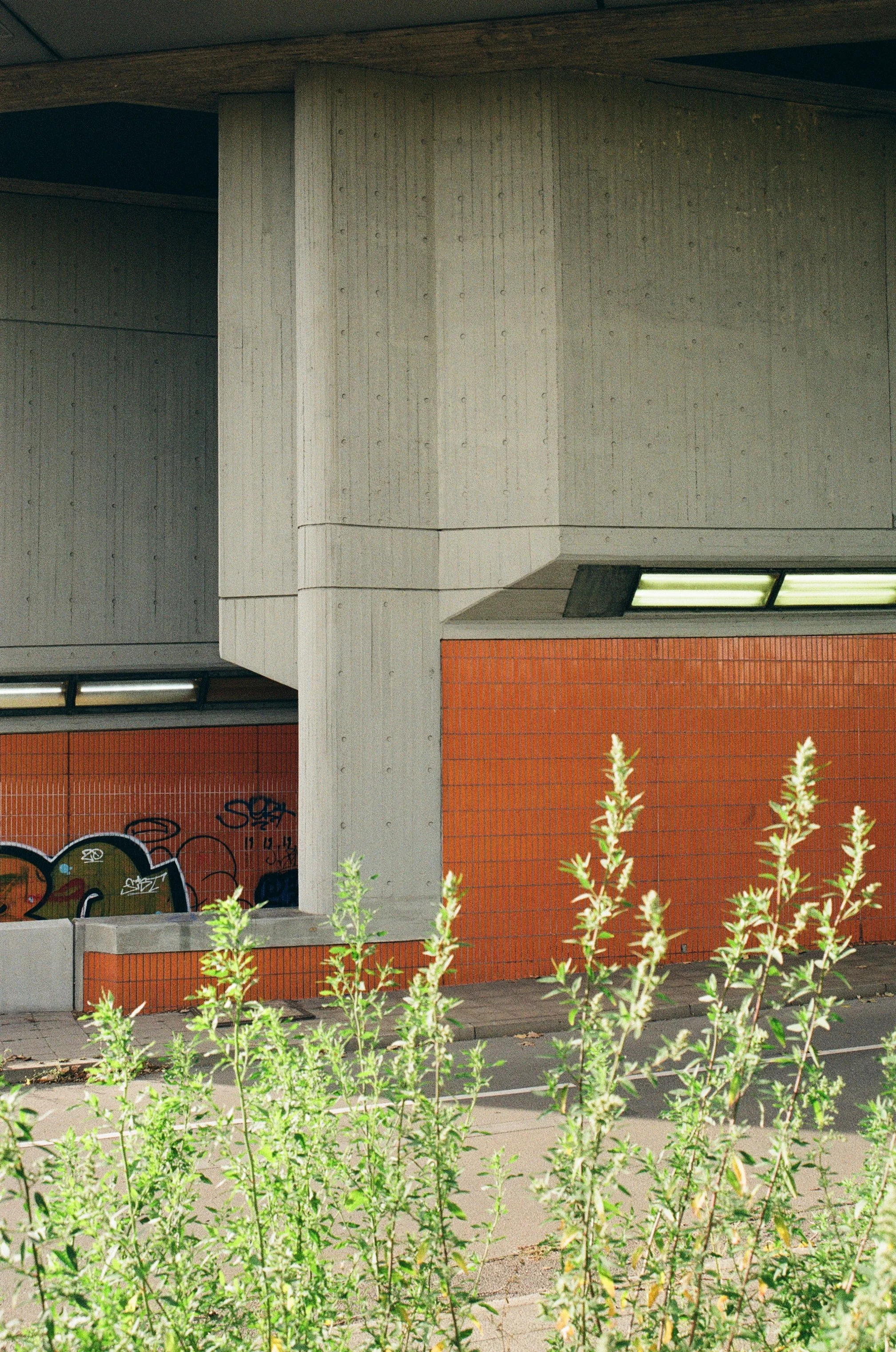 berlin observation (16).jpg