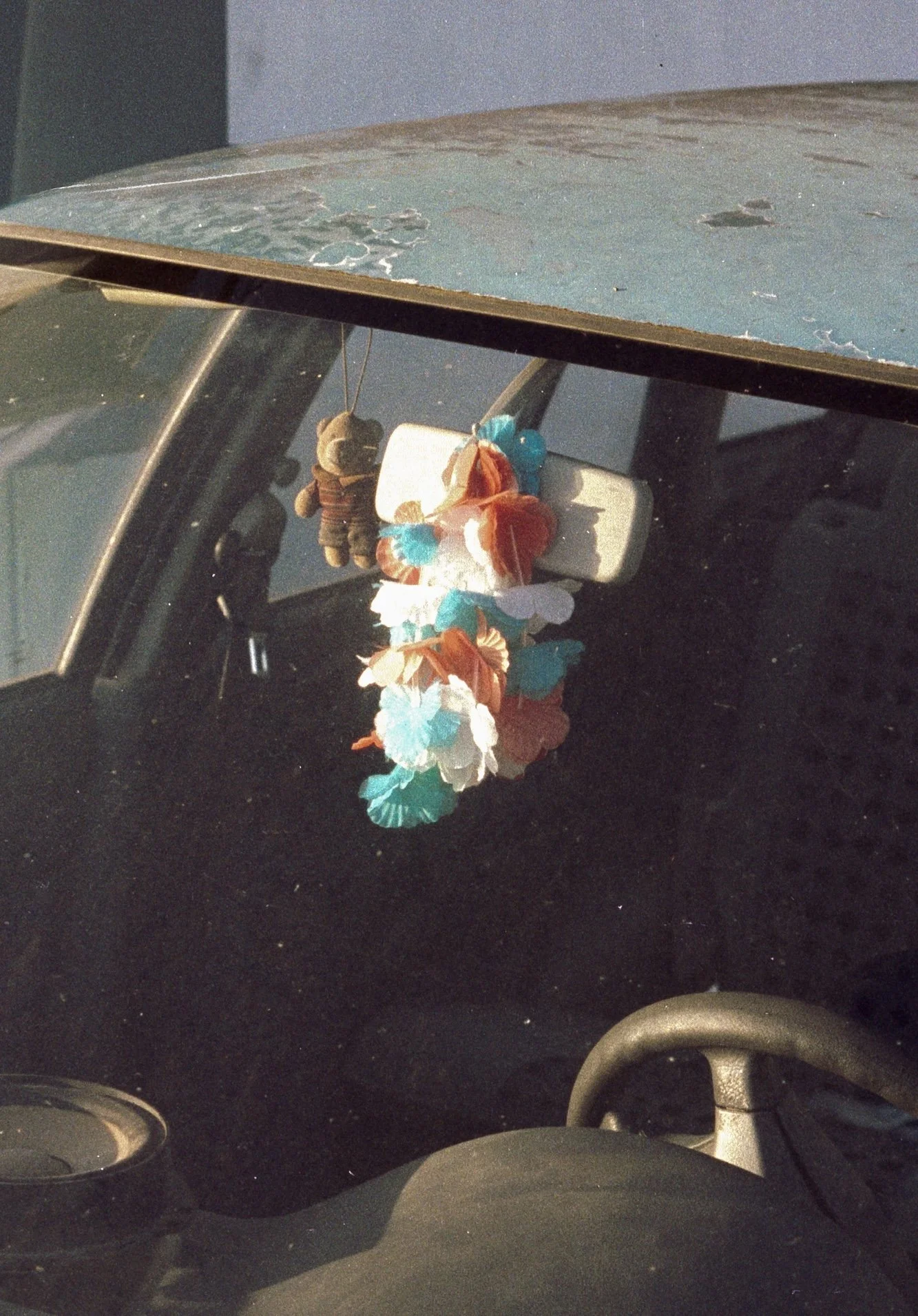 suburban truthfulness (7).jpg