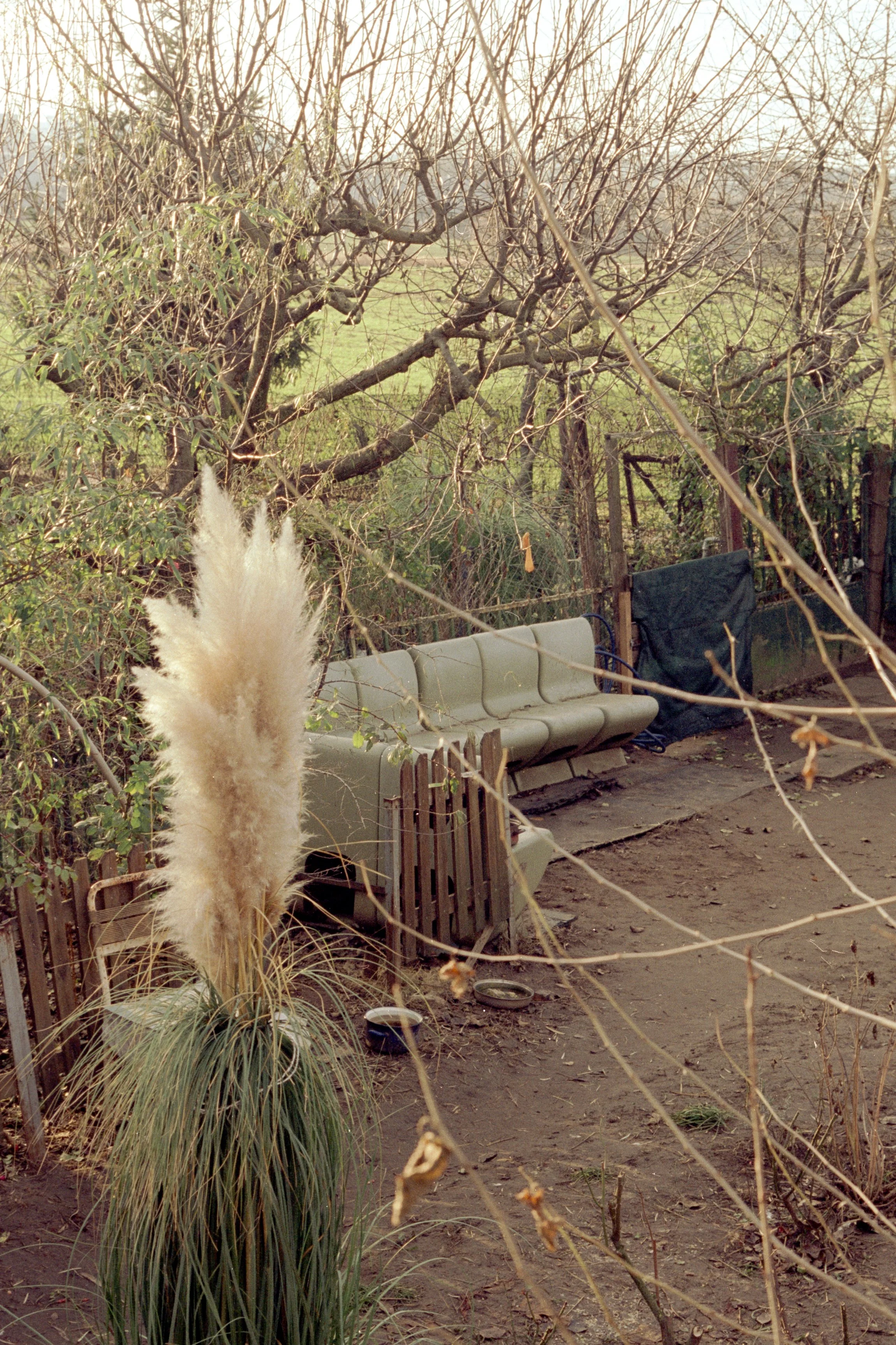 suburban truthfulness (12).jpg