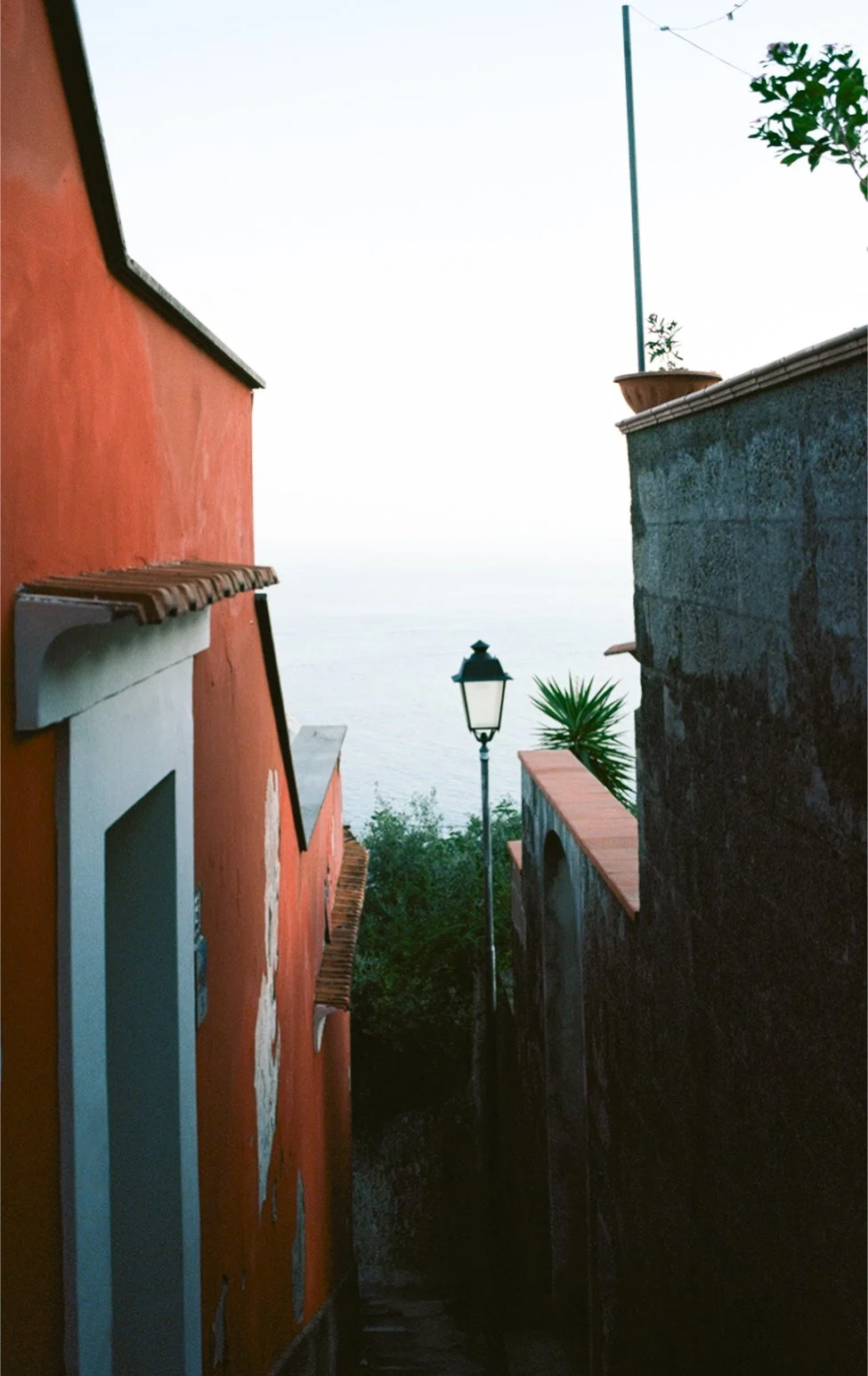A narrow alleyway between two buildings with a view of the ocean in the distance. There is a streetlamp, potted plants, and trees visible.