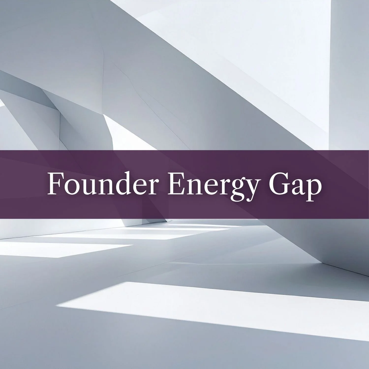A conversation: The Founder Energy Gap